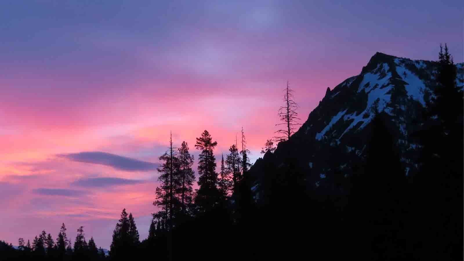 "Sunrise in Lamar Valley in Yellowstone. Love the pink colors and snow mountain."