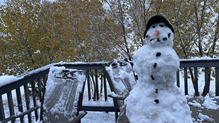 Olafis the snowman at reporter Clair McFarland's house on October 29, 2024