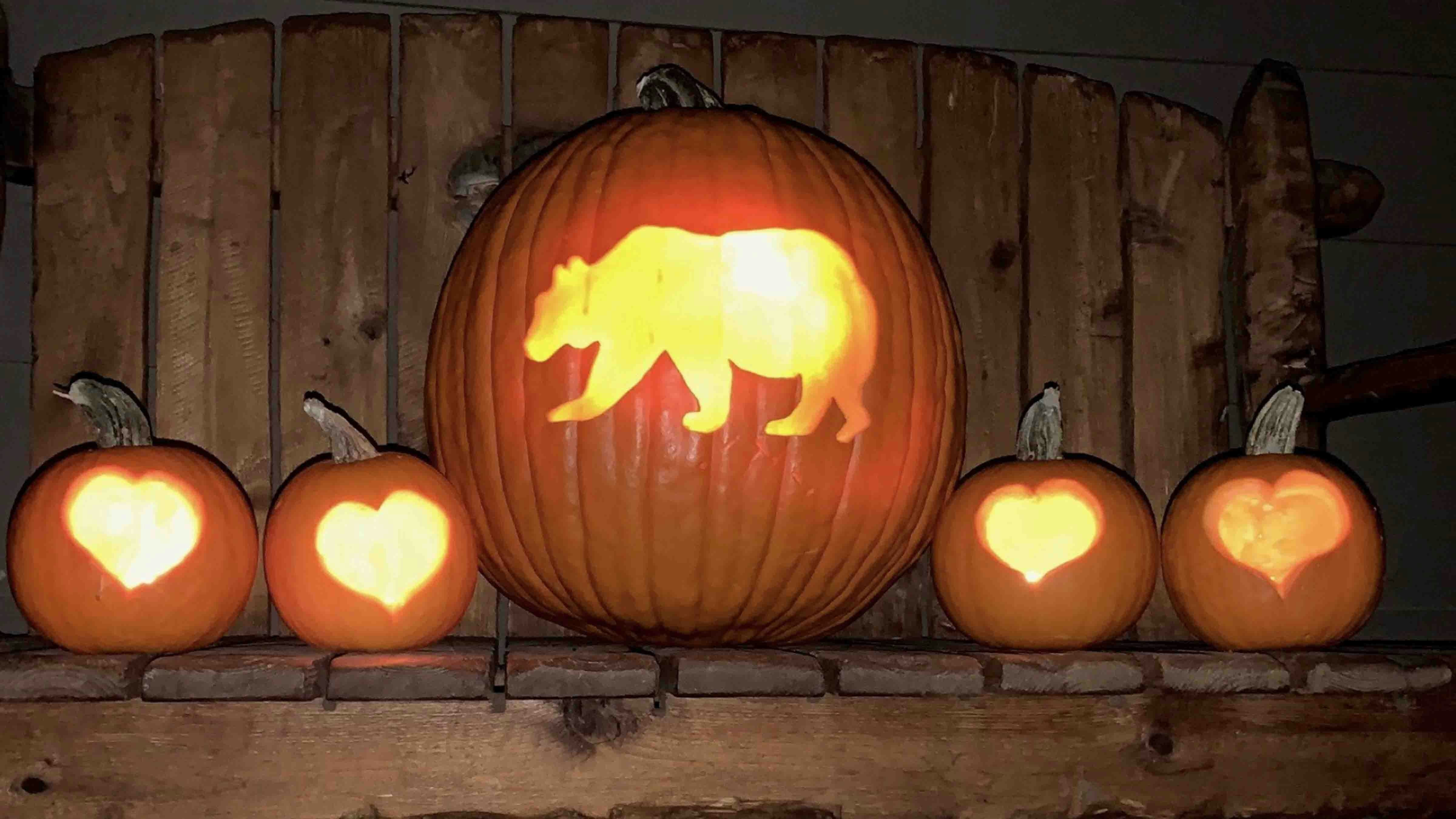 "A tribute to Grizzly 399. I carved these pumpkins Friday night while watching game 1 of the World Series."