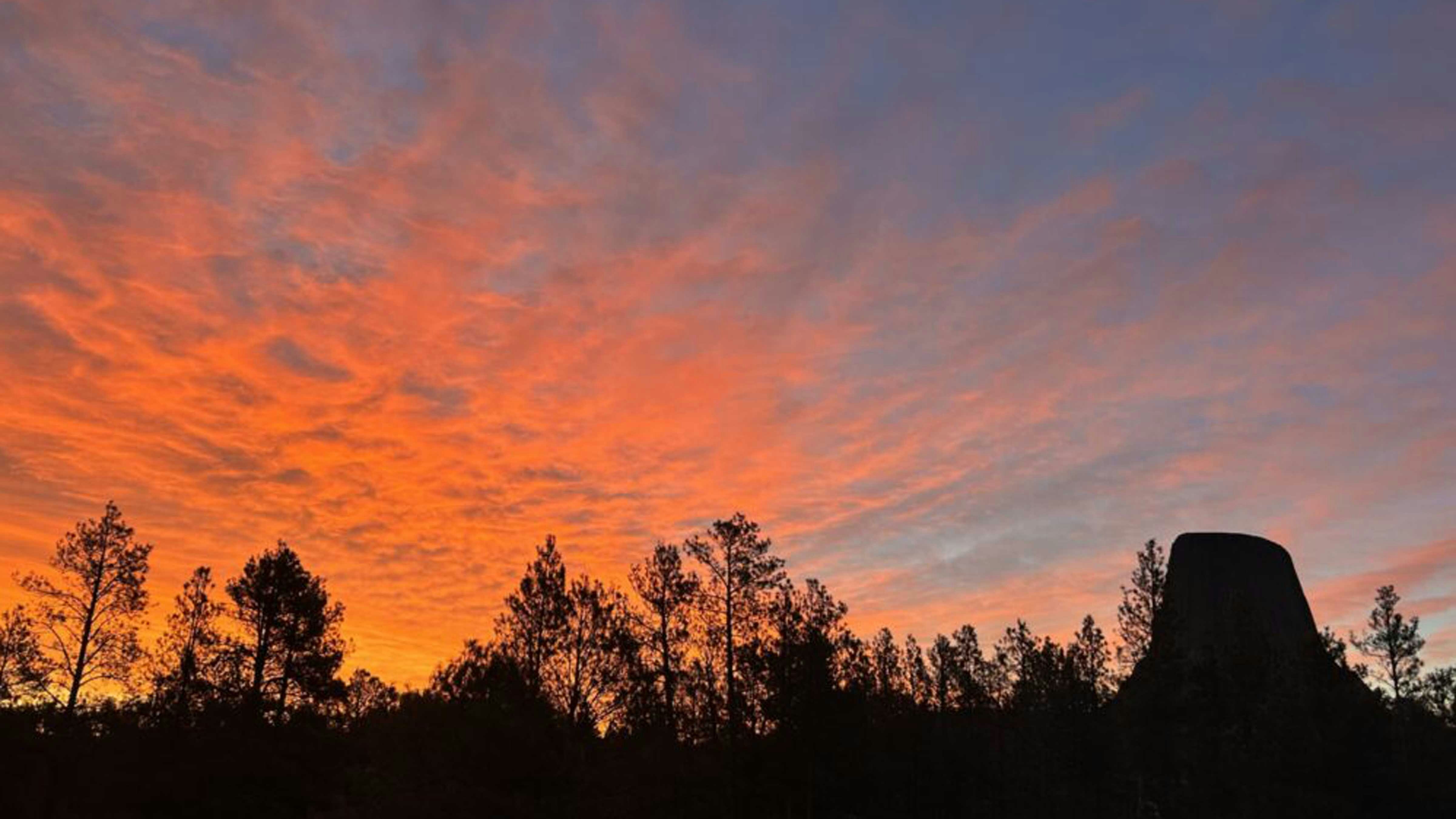 "A beautiful start to the day outside my window."