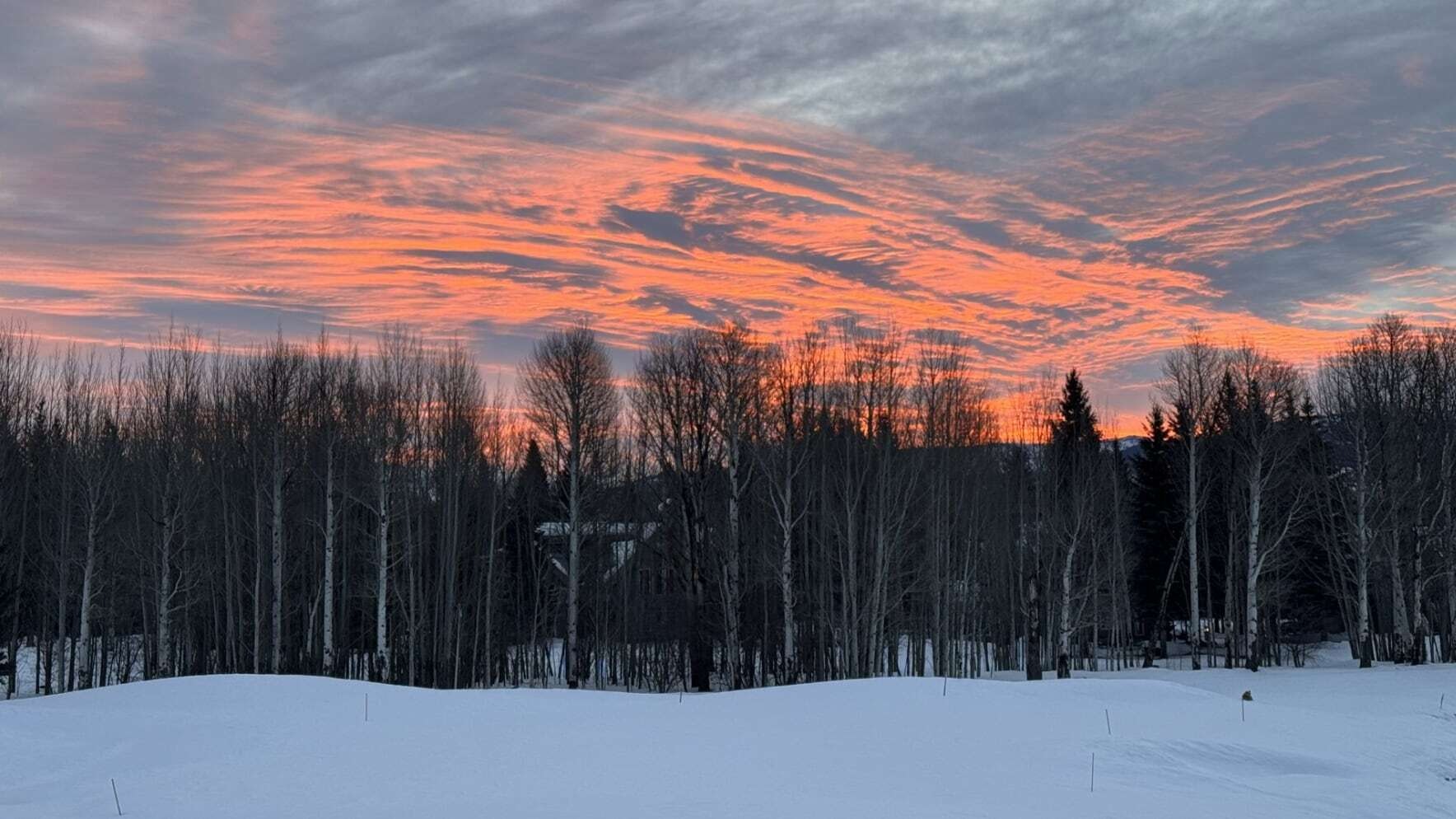 "Today's sunrise appears as ribbons in the sky from our home overlooking winter aspens - a beautiful beginning to the day!" Wilson, WY