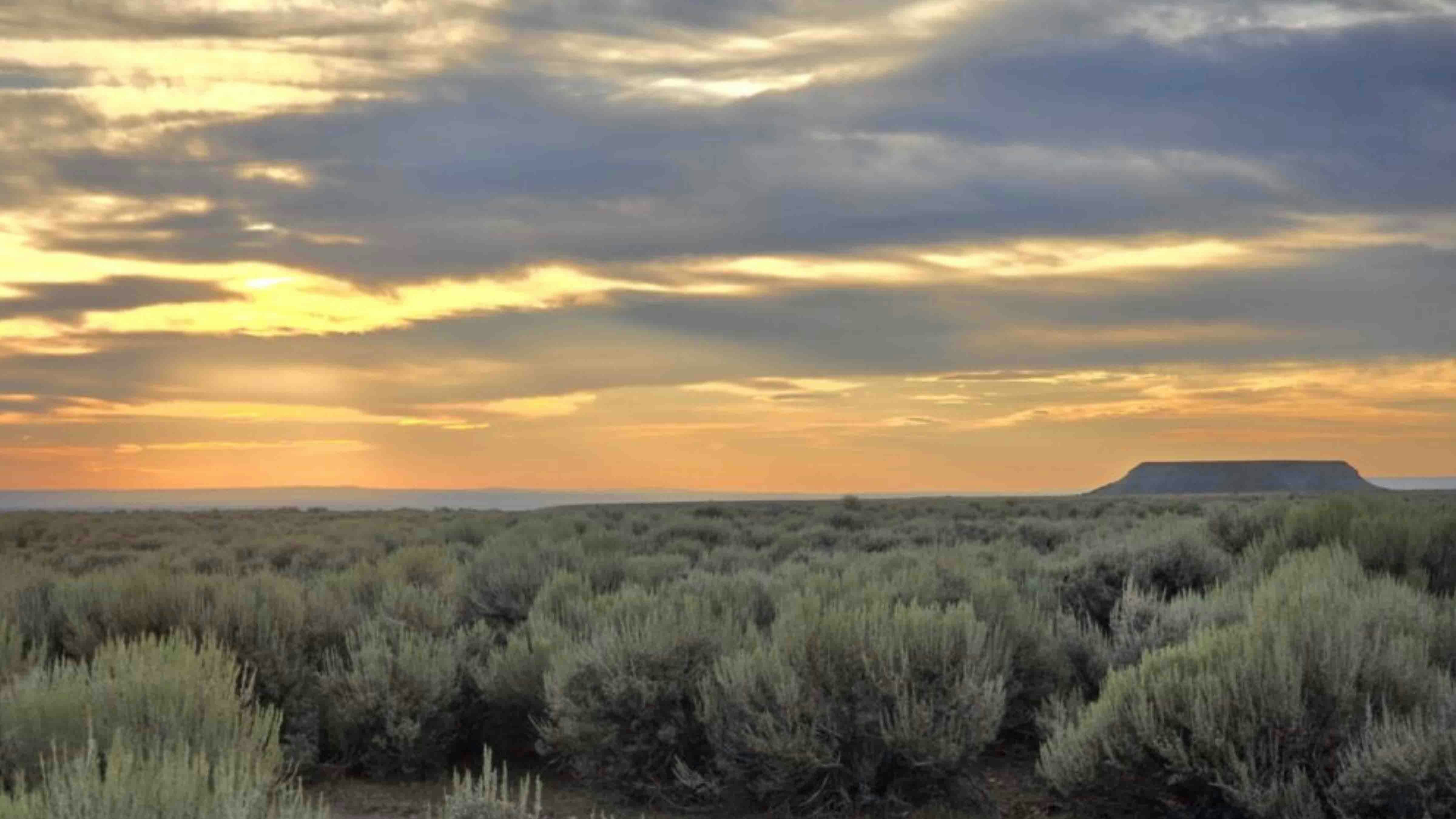 Looking forward to a exciting weekend in Uinta County