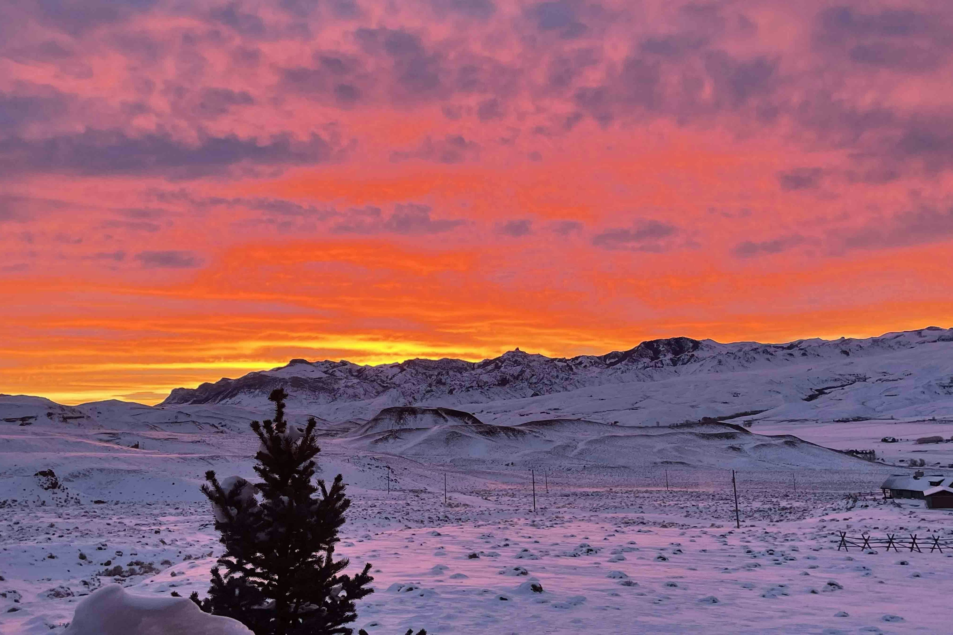 "Woke up to a warm pink glow from this beautiful sunrise in Wapiti, Wyoming."