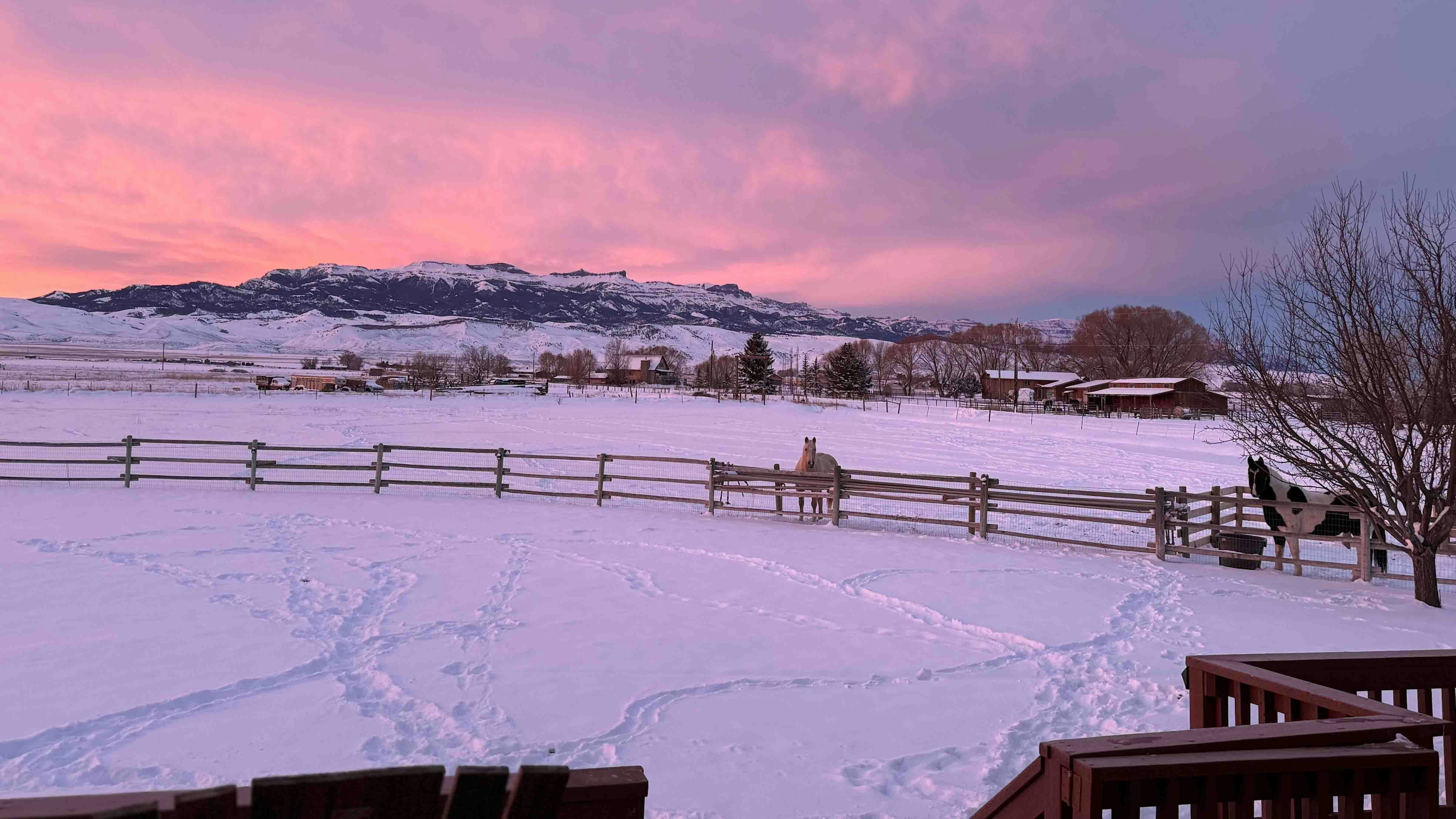 "Early morning beautify in Cody, Wyoming on March 1, 2024."