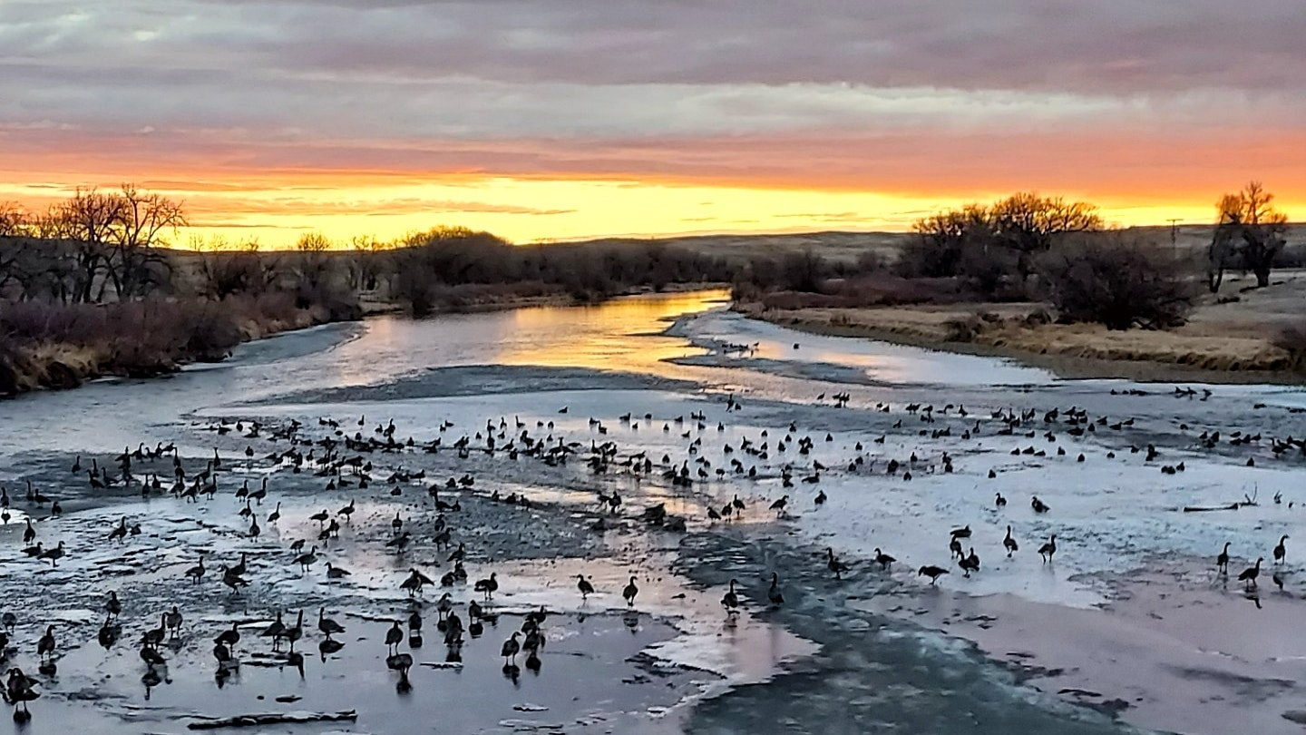 "North Platte River, Converse County."