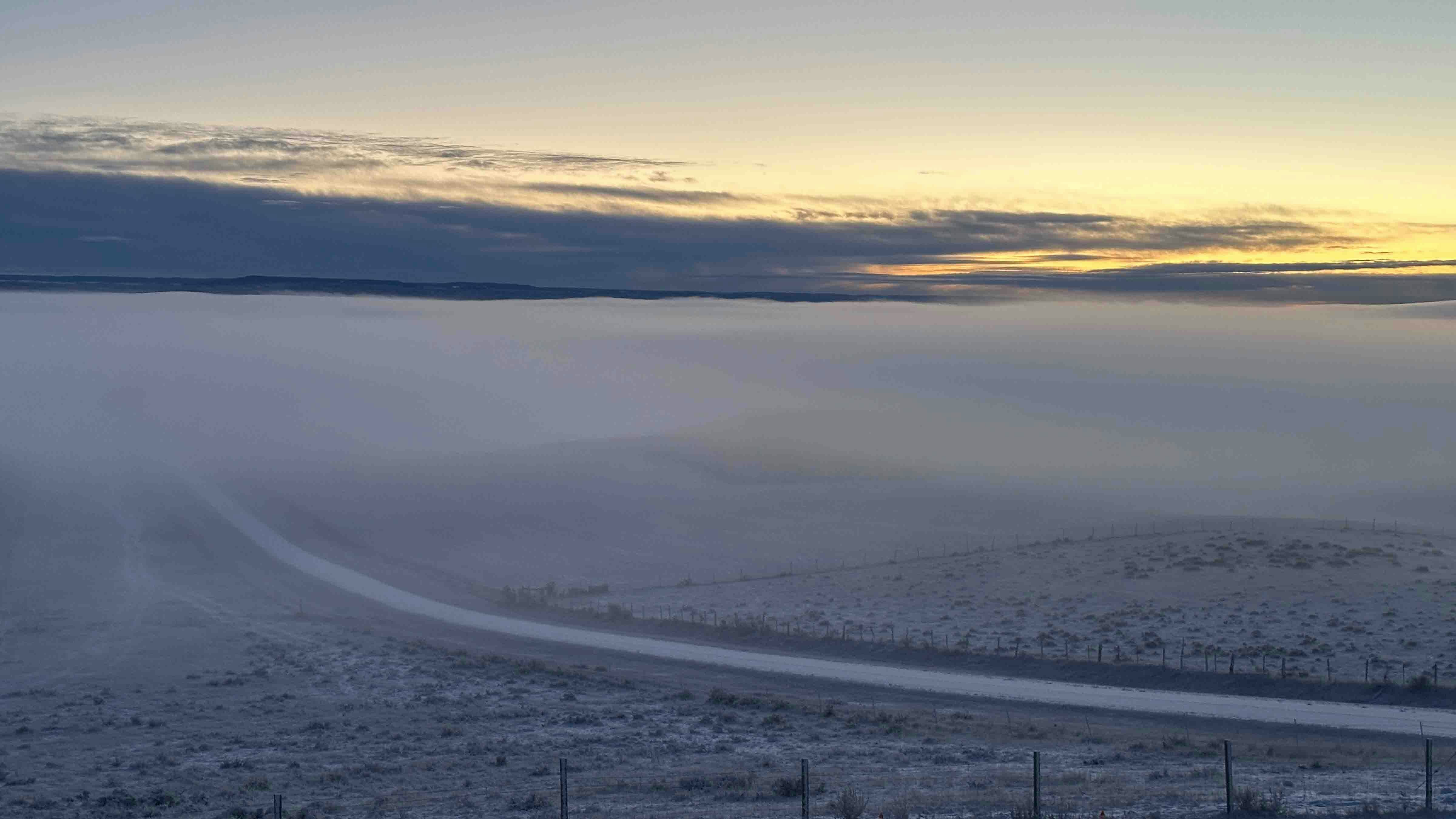 A snowy, frosty, foggy morning just south of Upton.