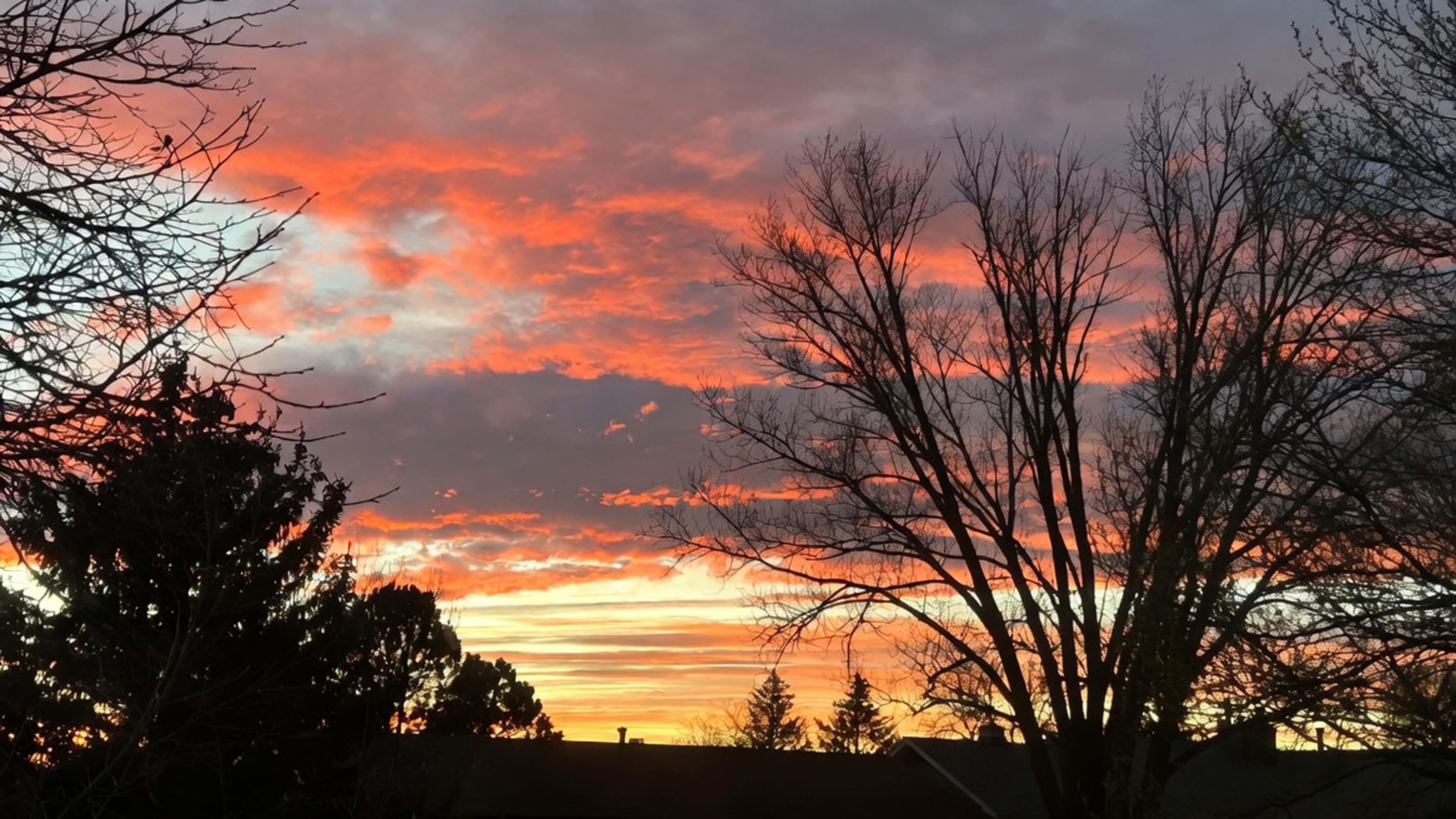 "Sunset through the treetops in Torrington."