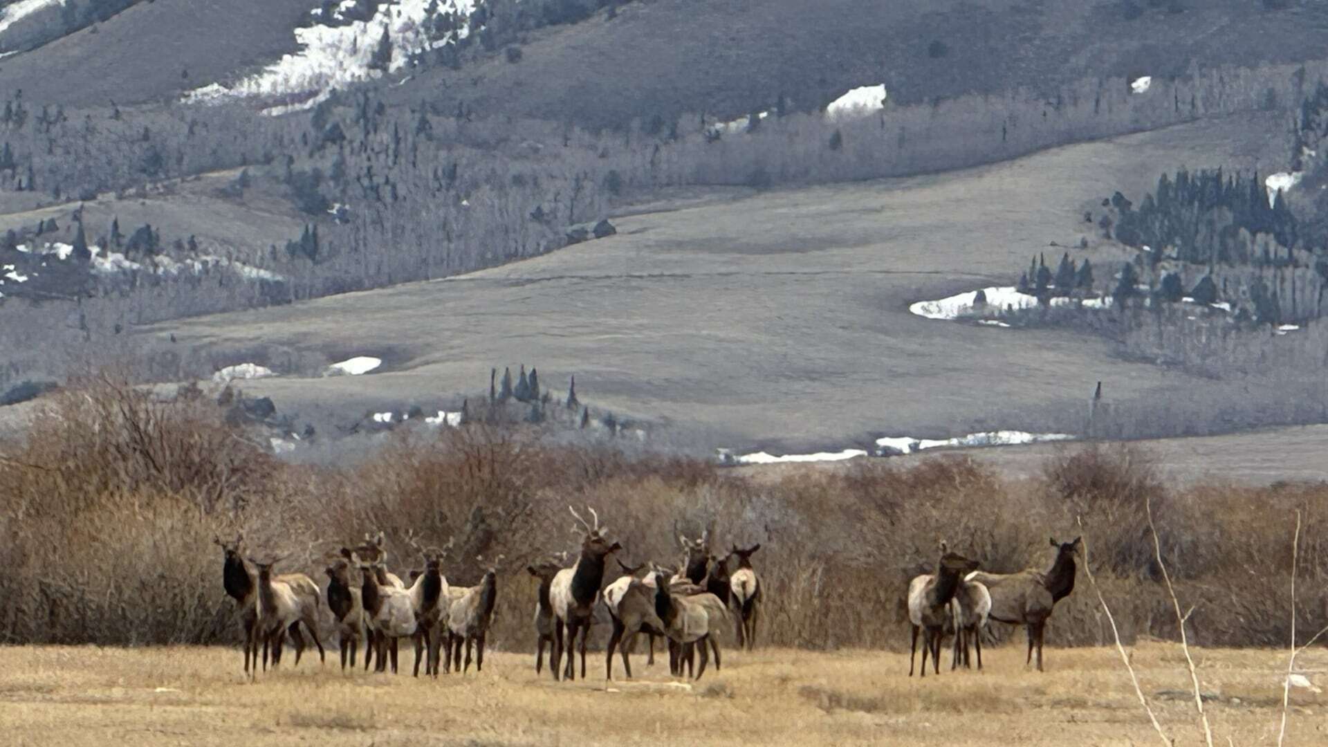 Don Day's Wyoming Weather Forecast: Saturday, April 26, 2025