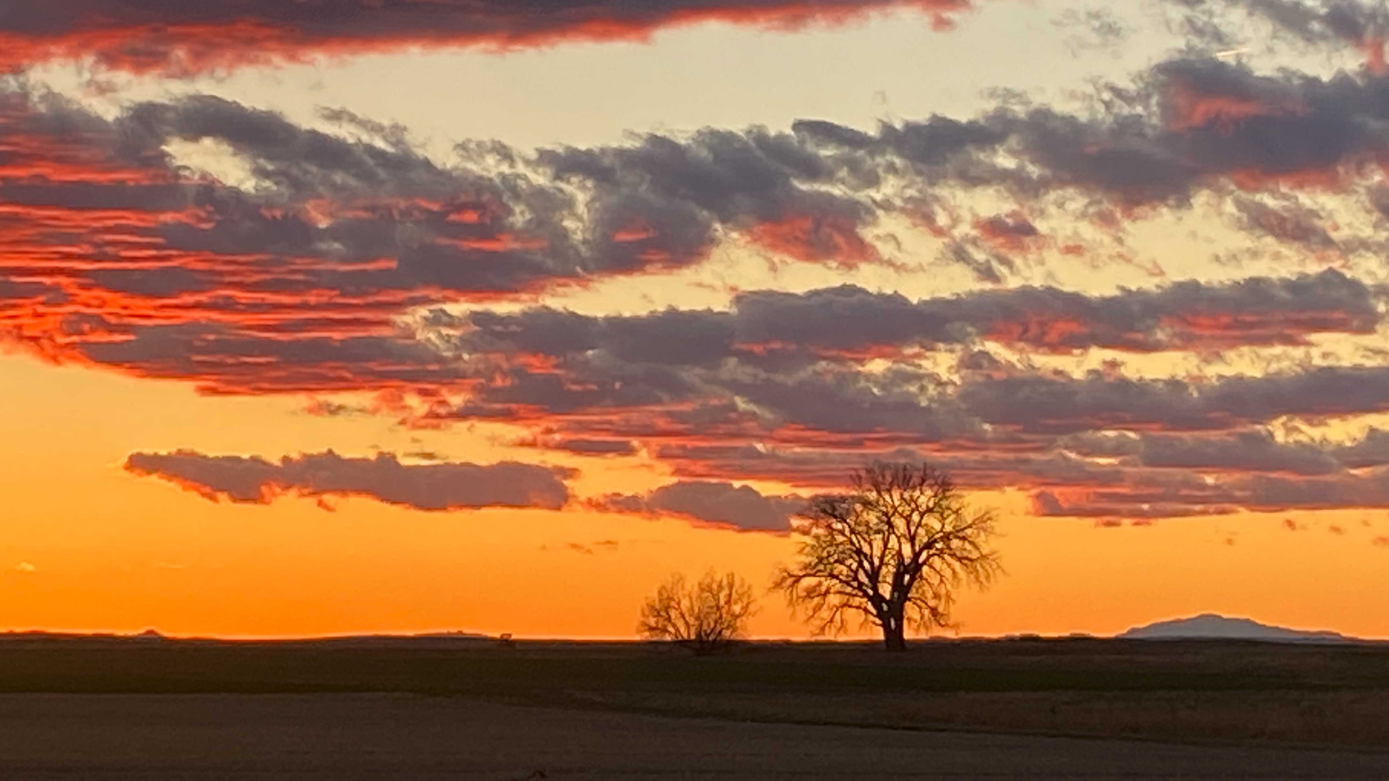 "Sunset in our barley field south of Yoder with Laramie Peak in the background."