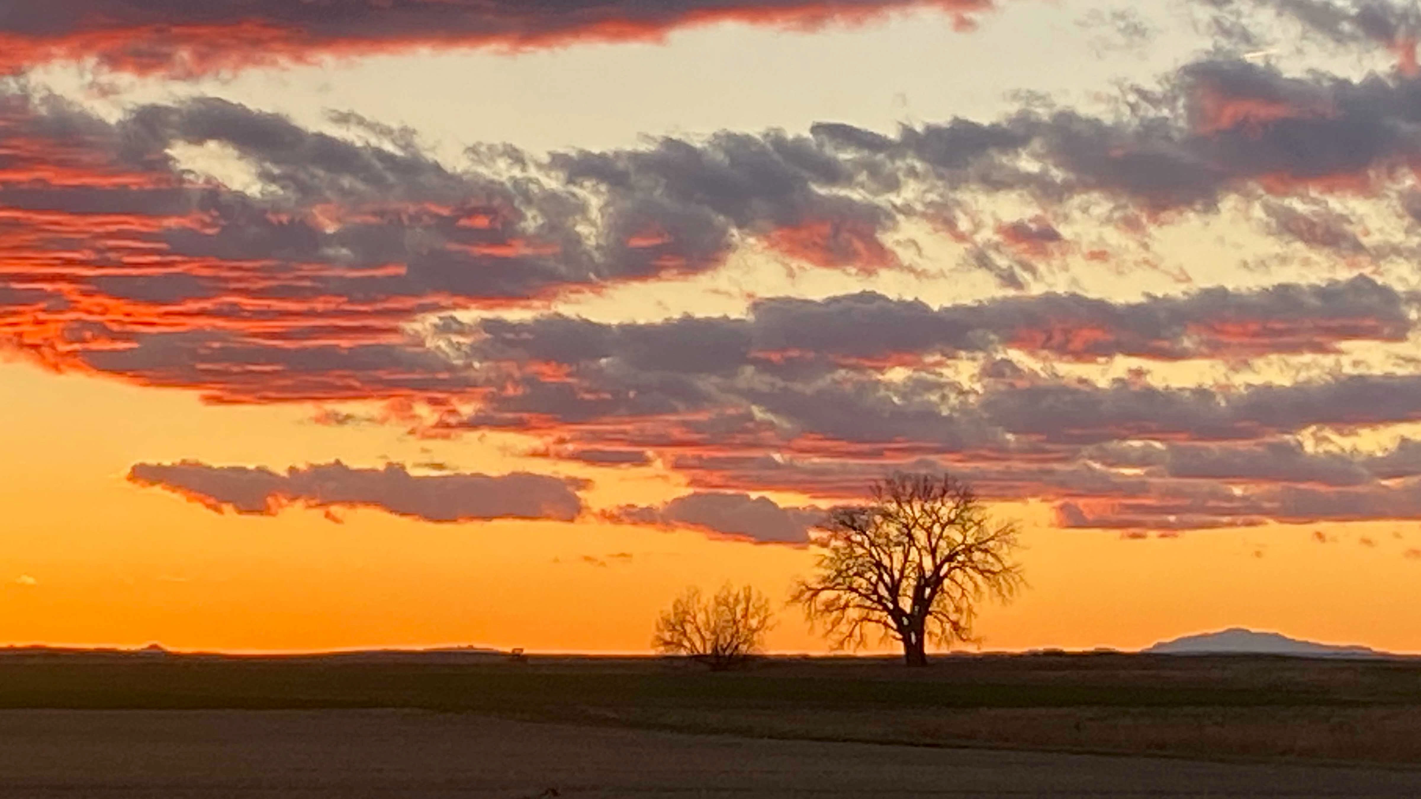 "Sunset in our barley field south of Yoder with Laramie Peak in the background."