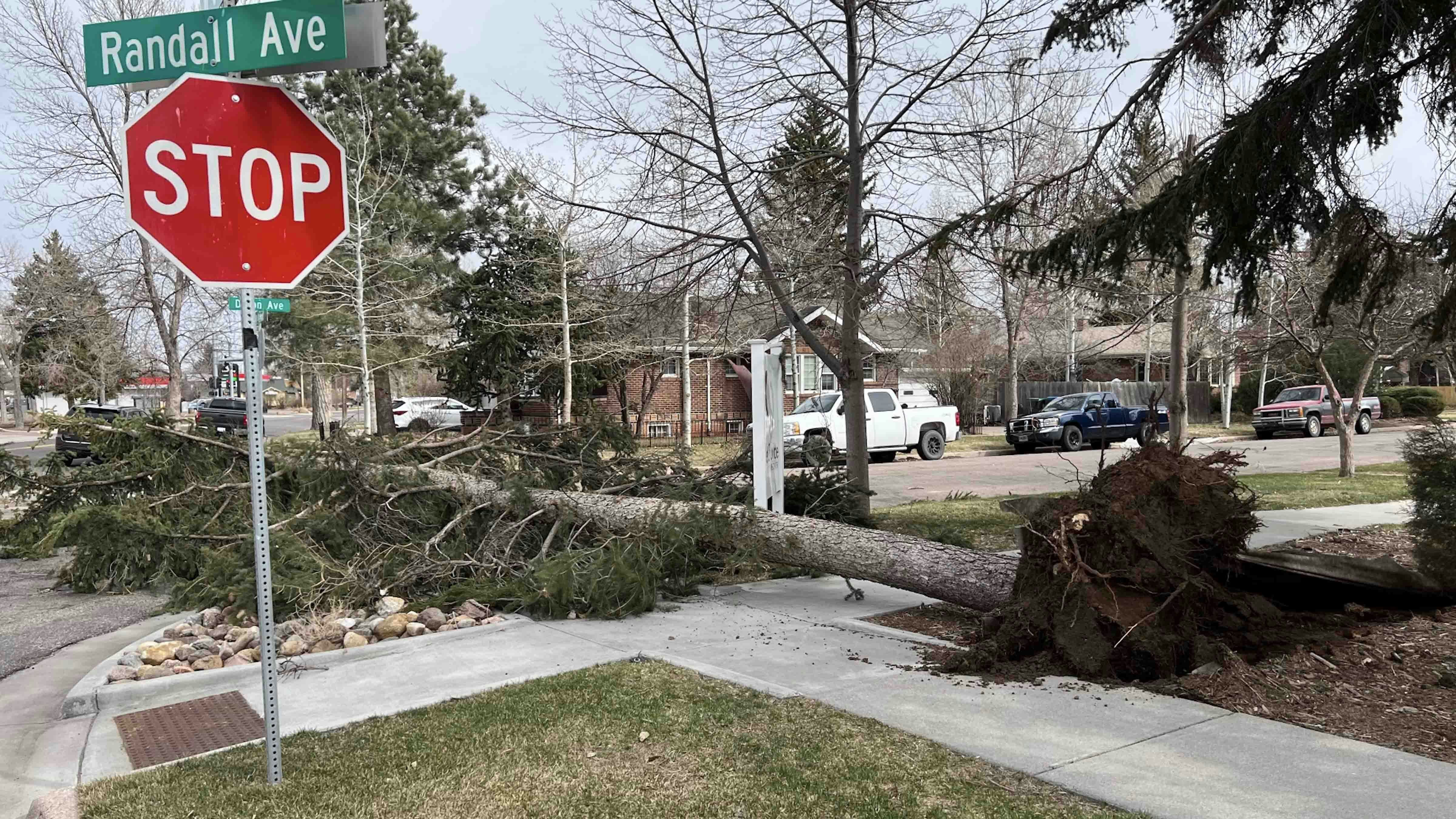 90 mph winds brought down trees in Cheyenne on Saturday
