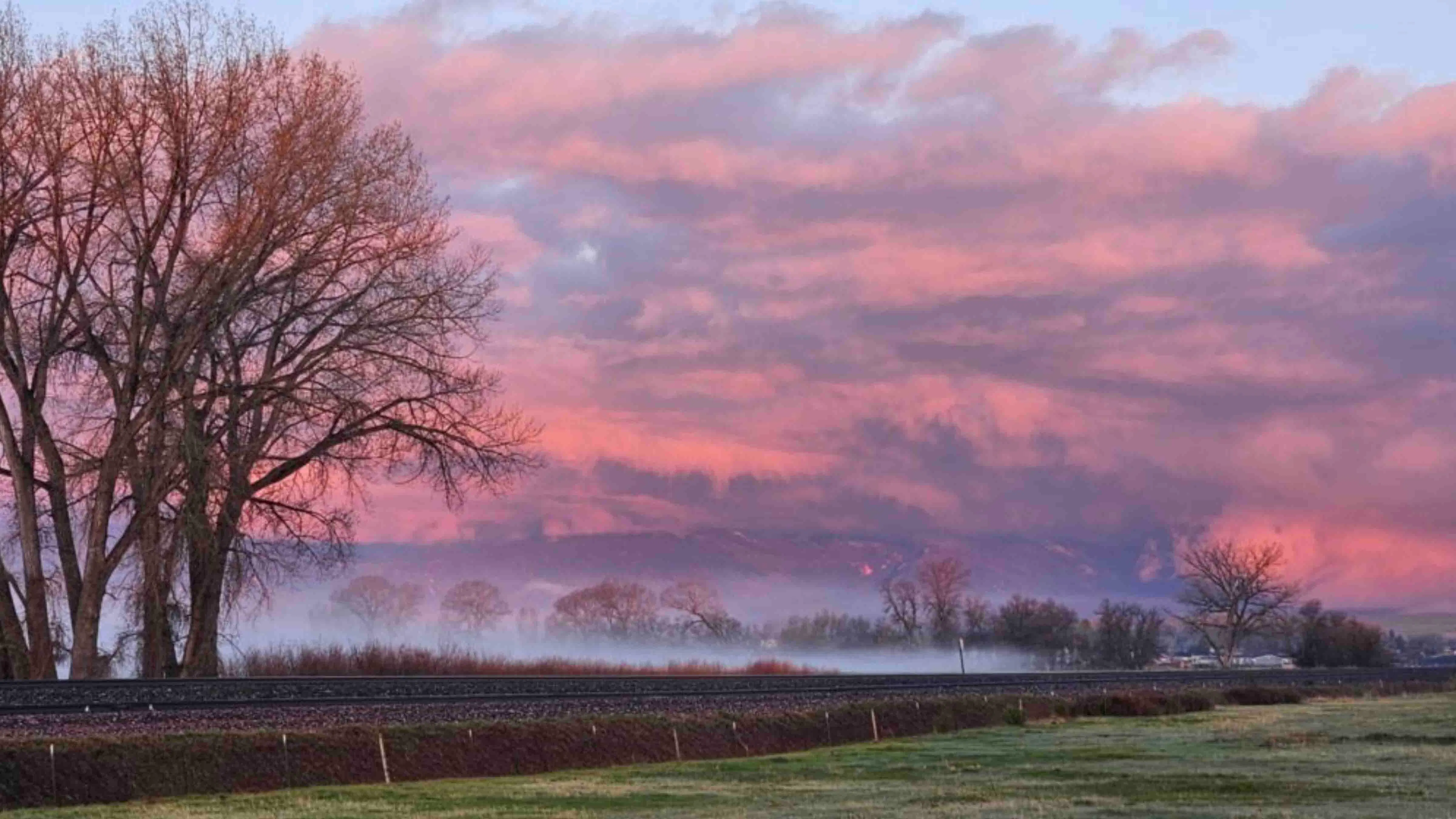 "River bottom fog at sunrise in Ranchester, Wyoming."