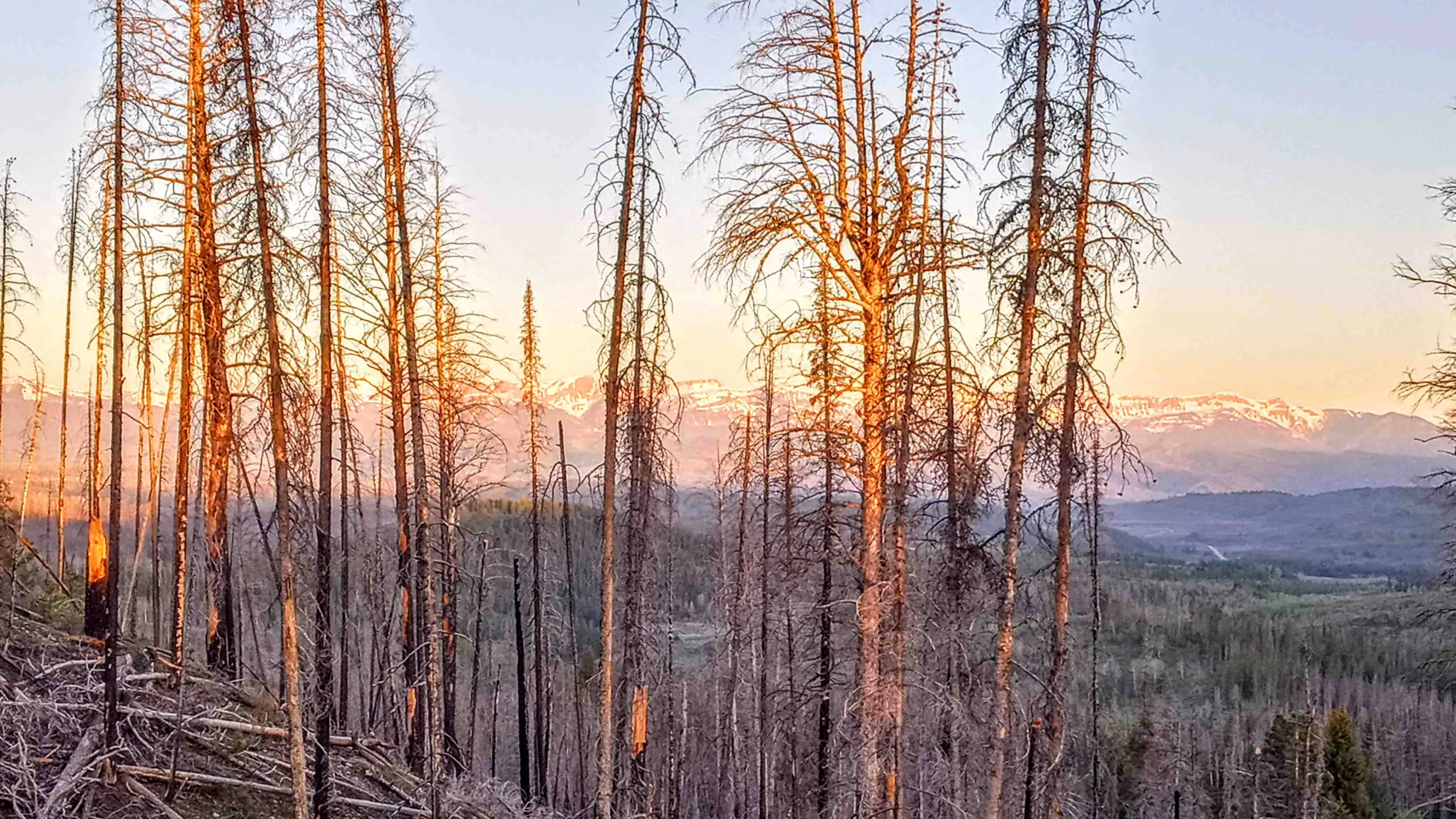 "Frosty sunrise. View toward Wyoming Range above Hoback Canyon."