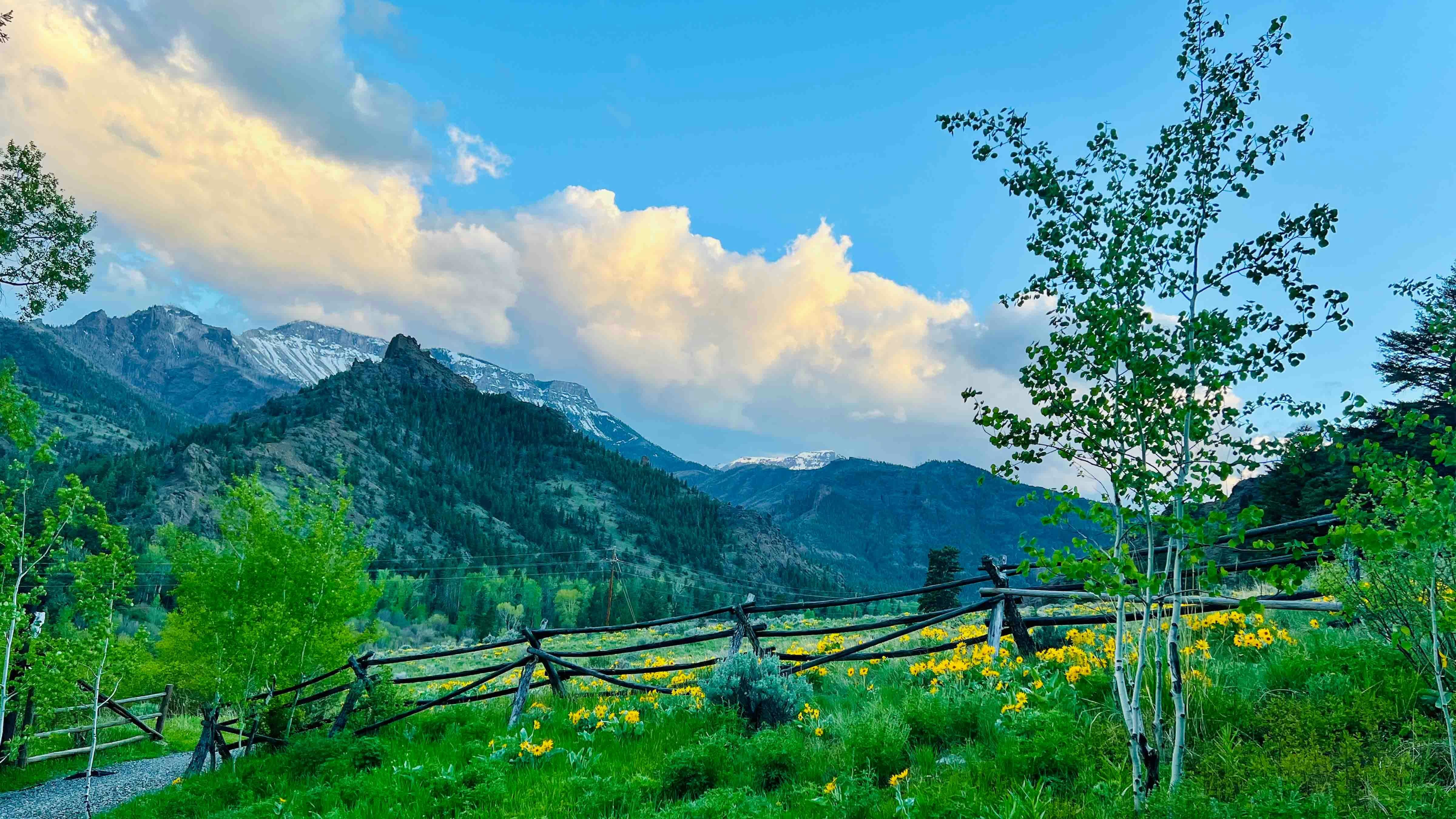 "Sunset on North Fork of Shoshone with Clayton Mountain in distance and Arrowleaf Balsamroot in full bloom."