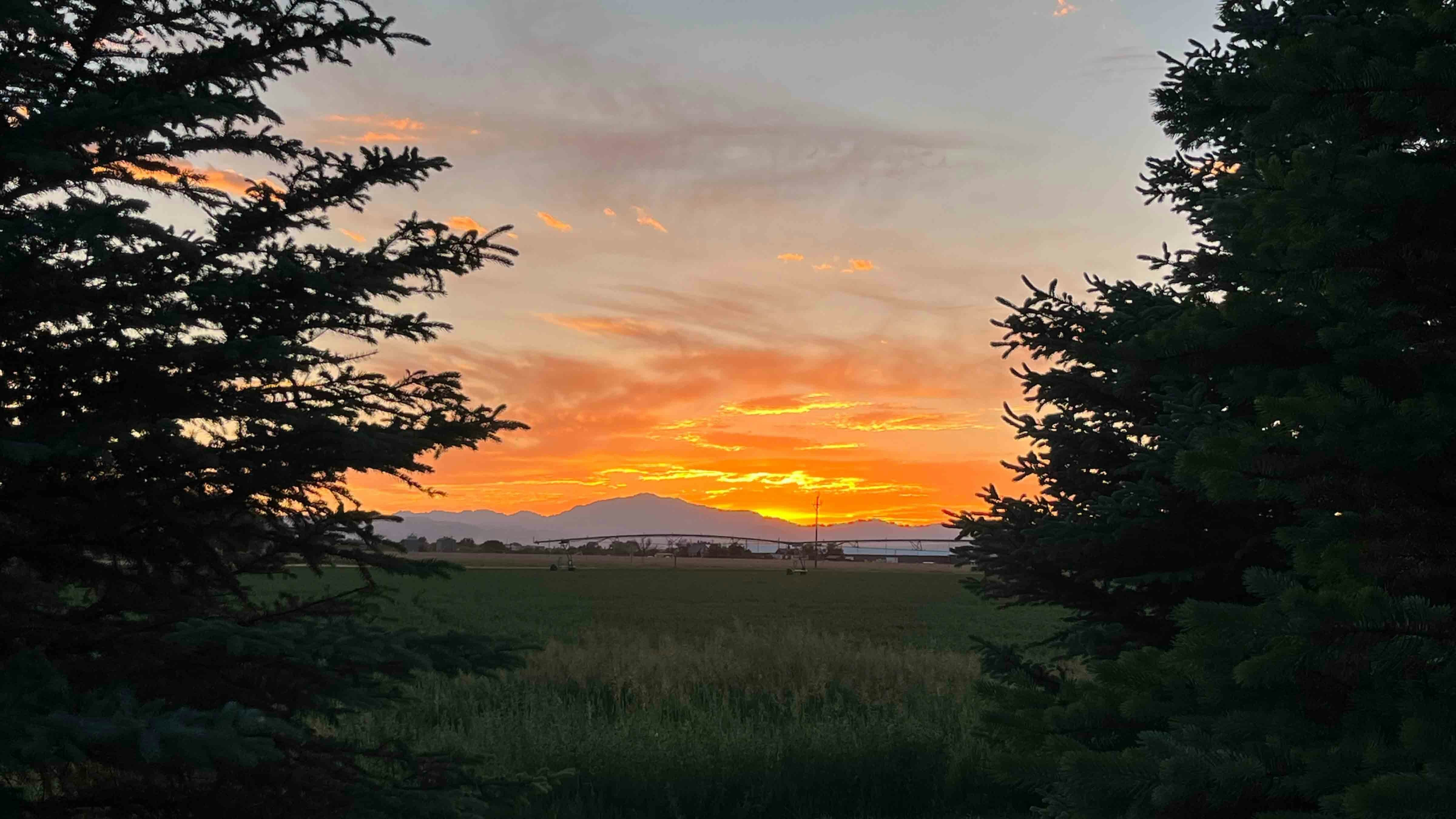 "Beautiful sunset out my backyard in Wheatland. Laramie Peak was glowing. June 11, 2024"