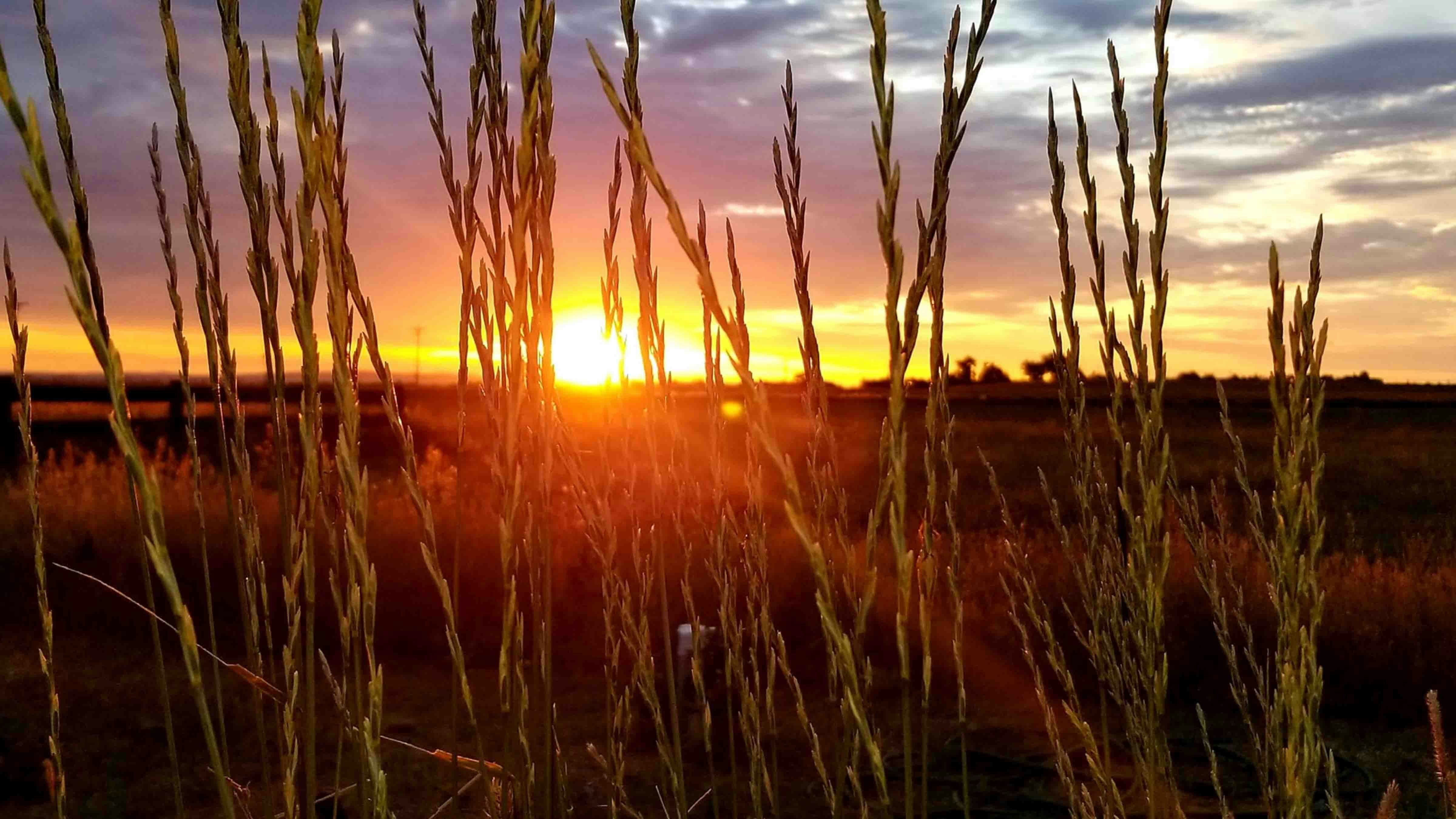 Catching the sunrise here at Wishing Wyoming Ranch in Wheatland.