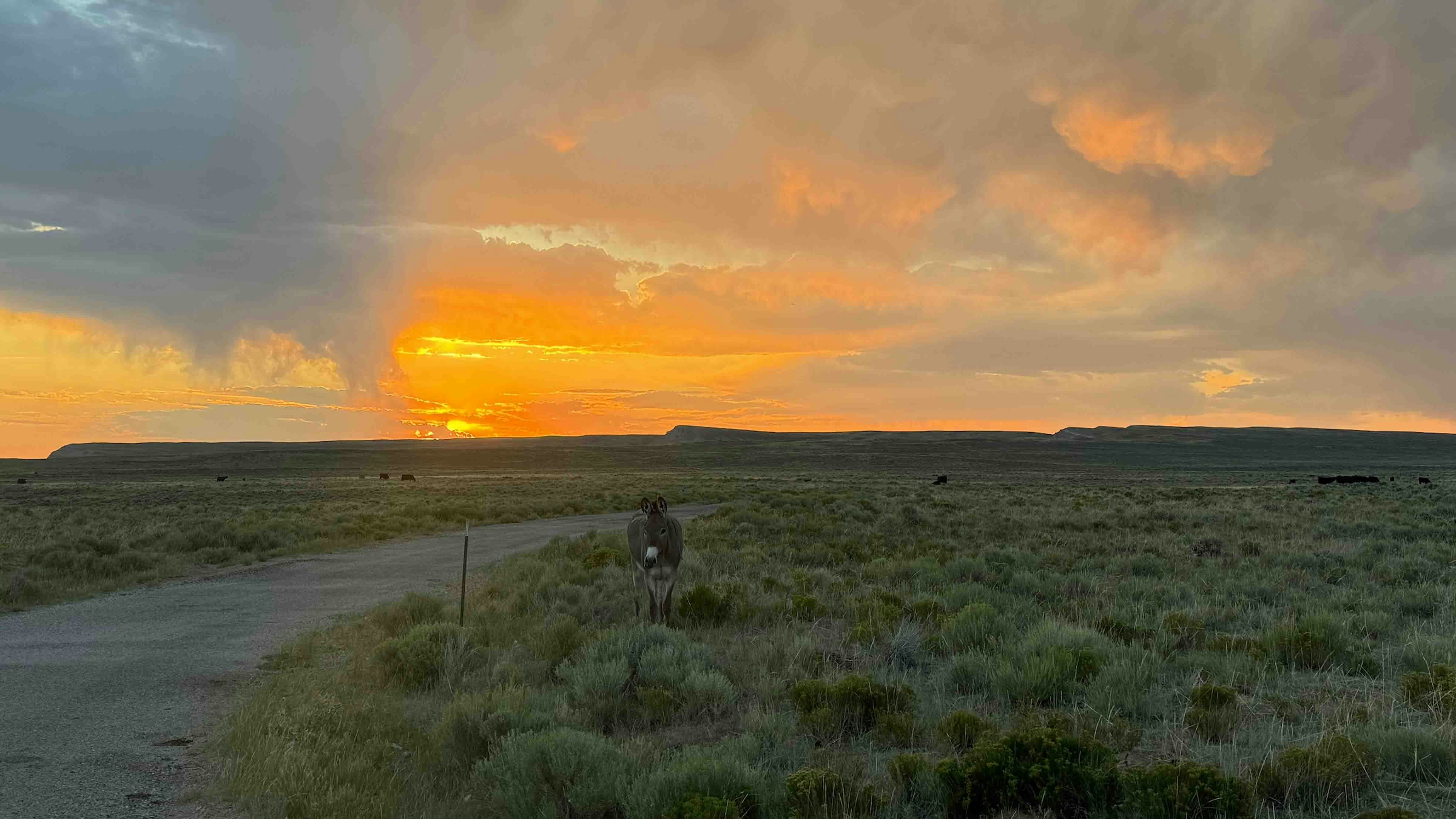 Sunset north of Saratoga, Wyoming