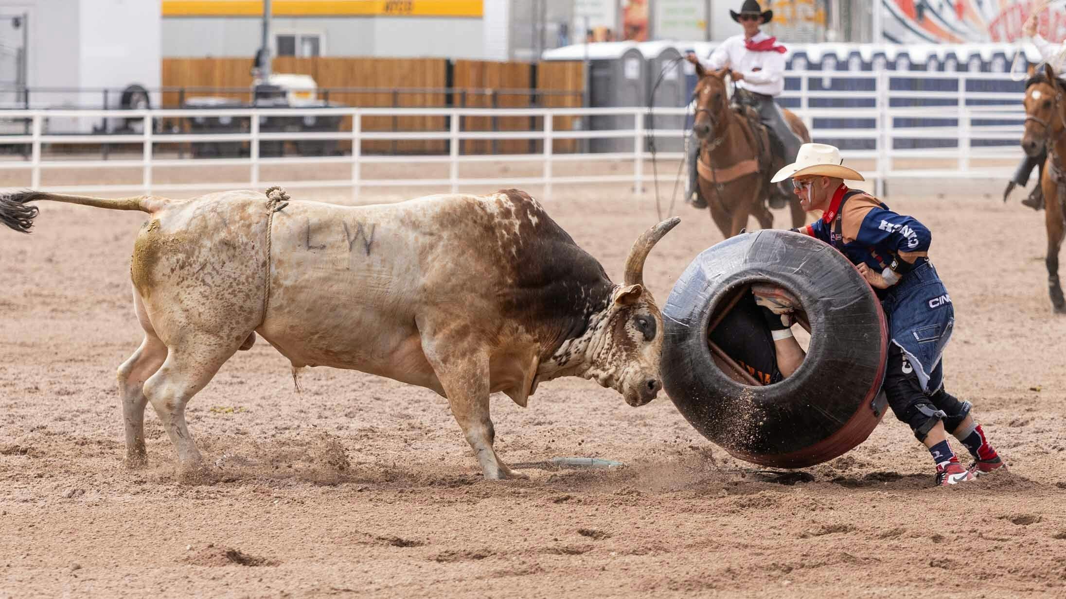 Bullfighter Dusty Tuckness fights a bull alongside barrel man Cody Sosebee, who is in the barrel during the rodeo at Cheyenne Frontier Days