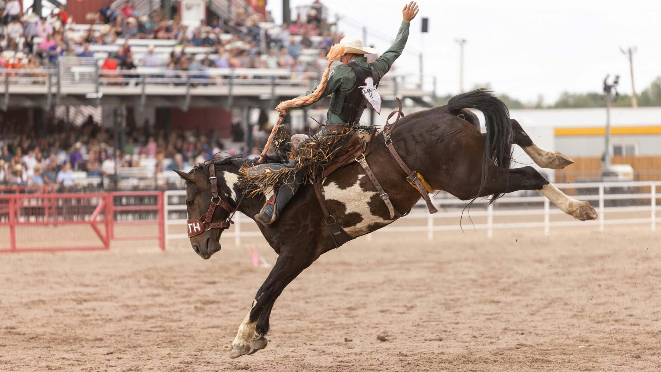 Rodeo action at the Cheyenne Frontier Days rodeo