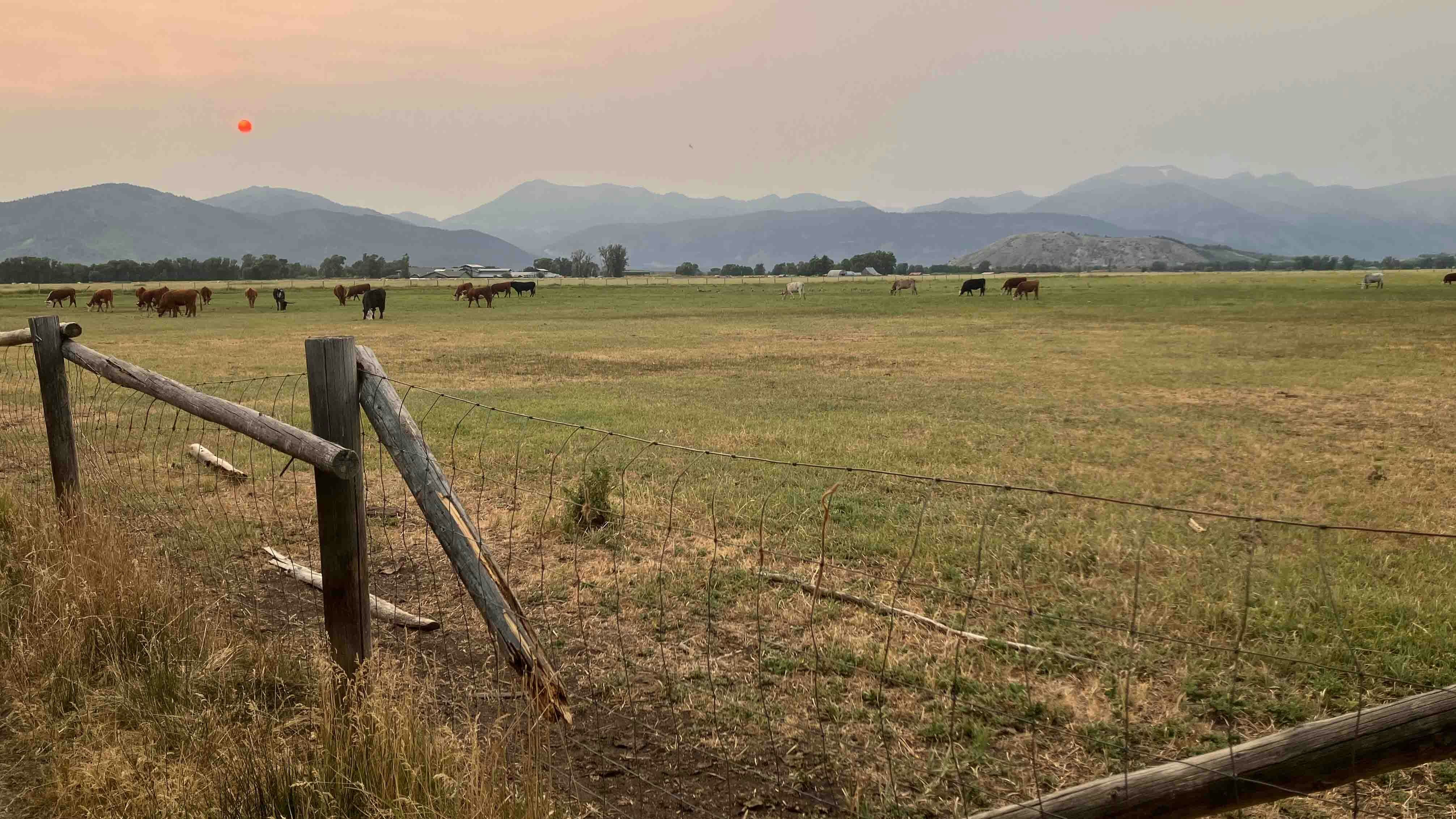 Sunset in Jackson, Wyoming, on July 26, 2024