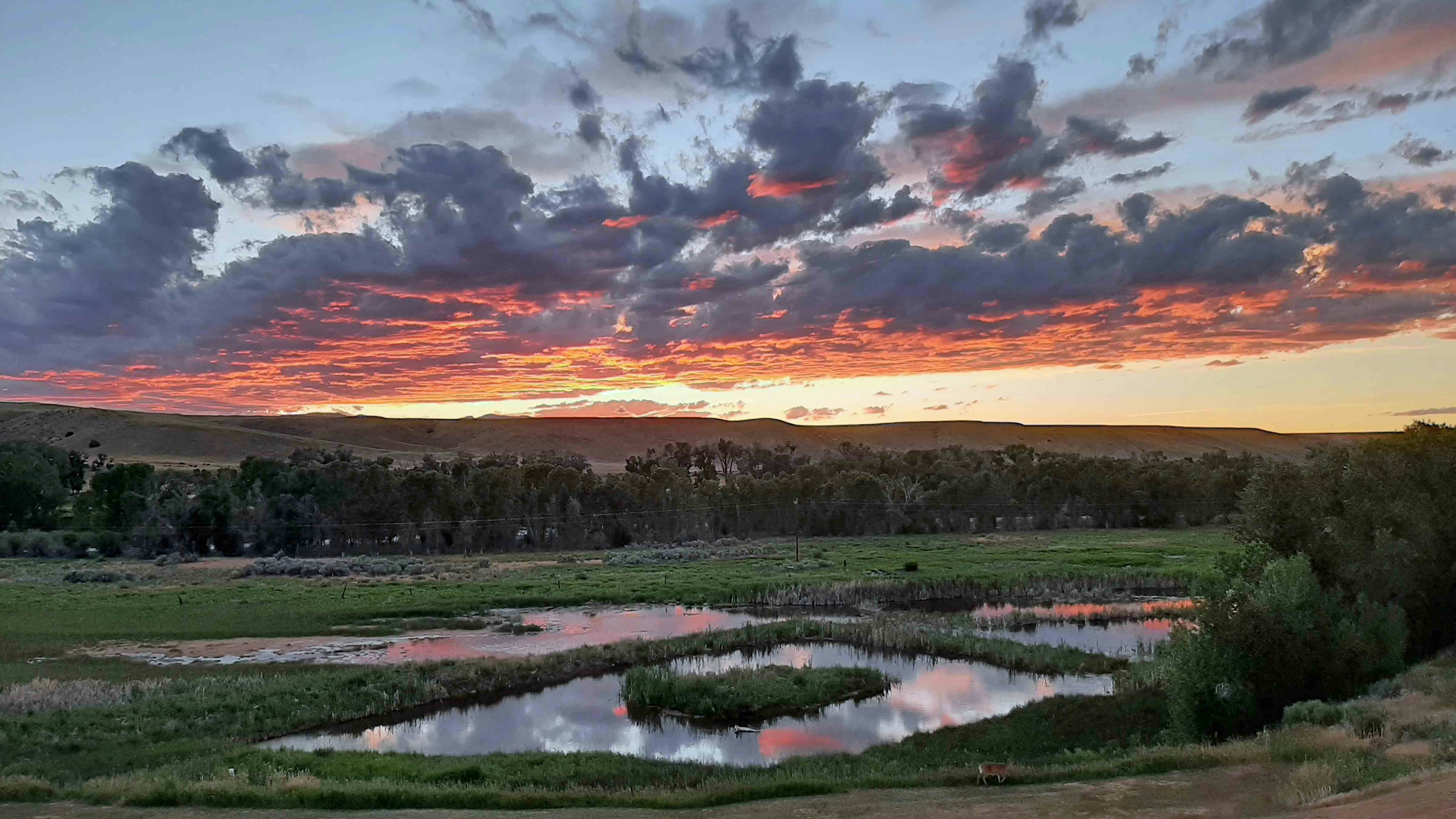 "Captured this beautiful sunset from our deck in Meeteetse on July 3, 2024."