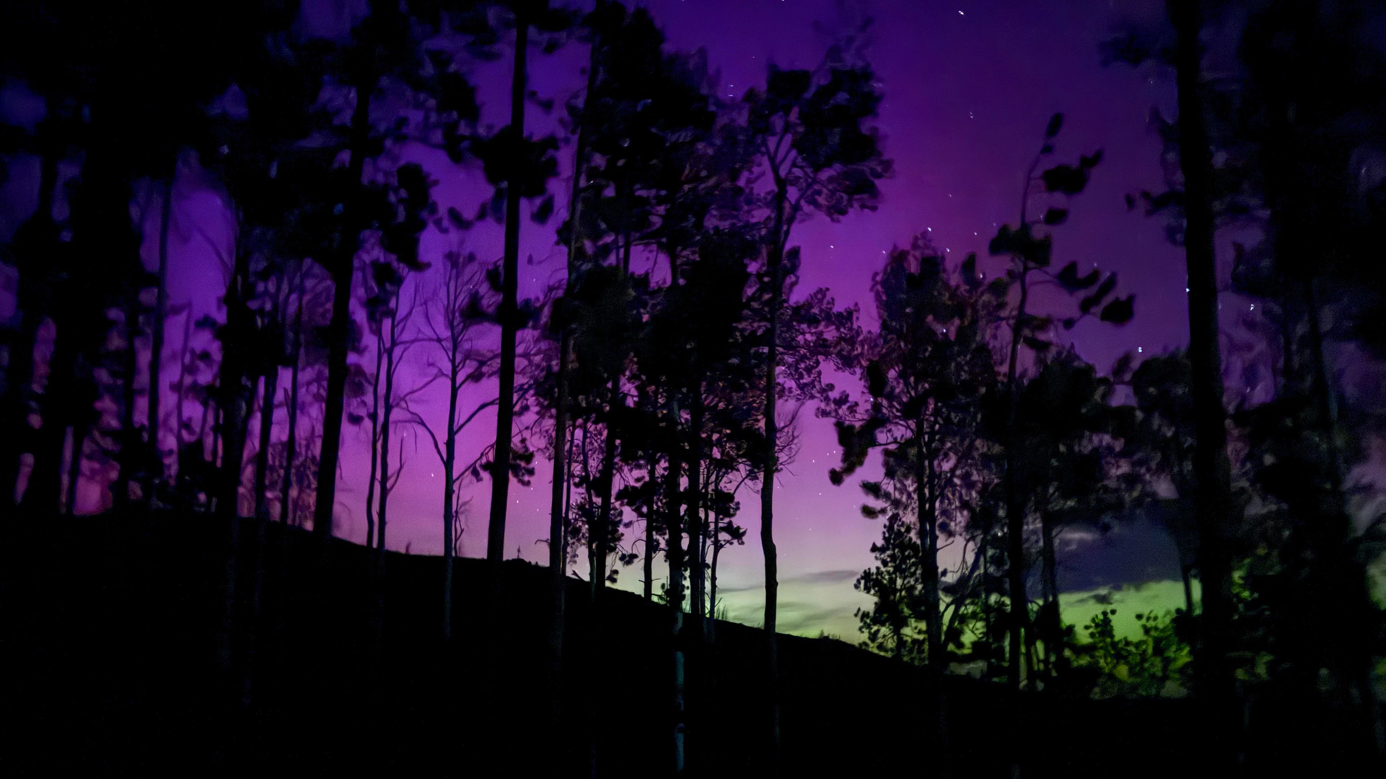 Lady Aurora put on her own firework show to celebrate Americas Birthday!