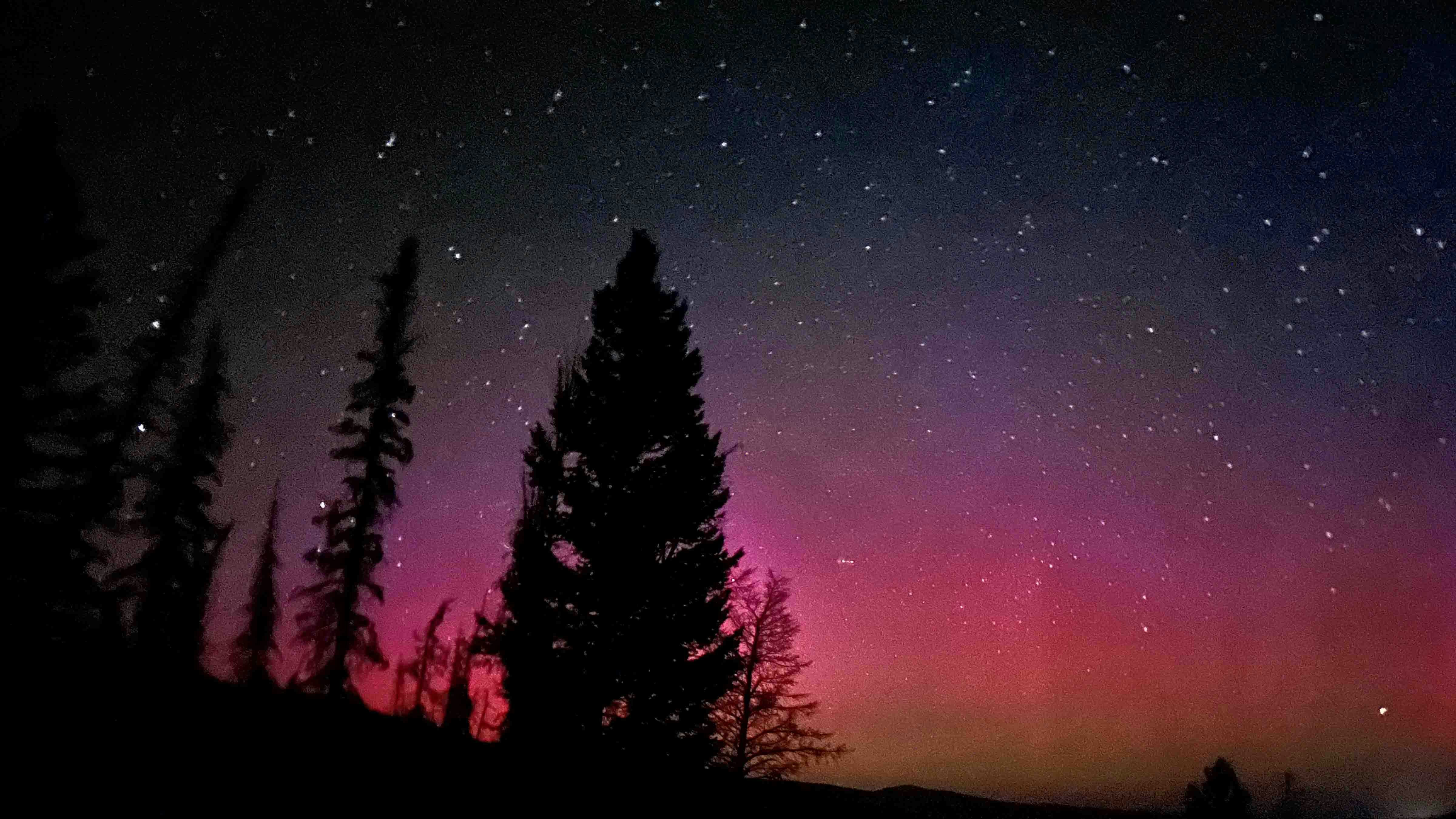 "What a show Lady Aurora gave us! Medicine Bow National Forest on July 30, 2024."