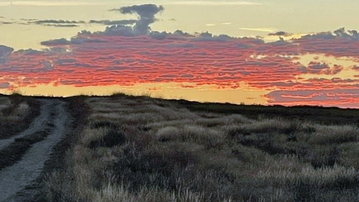 This was shot last fall (2022) while antelope hunting just north of Casper. Taken by Scott King.
