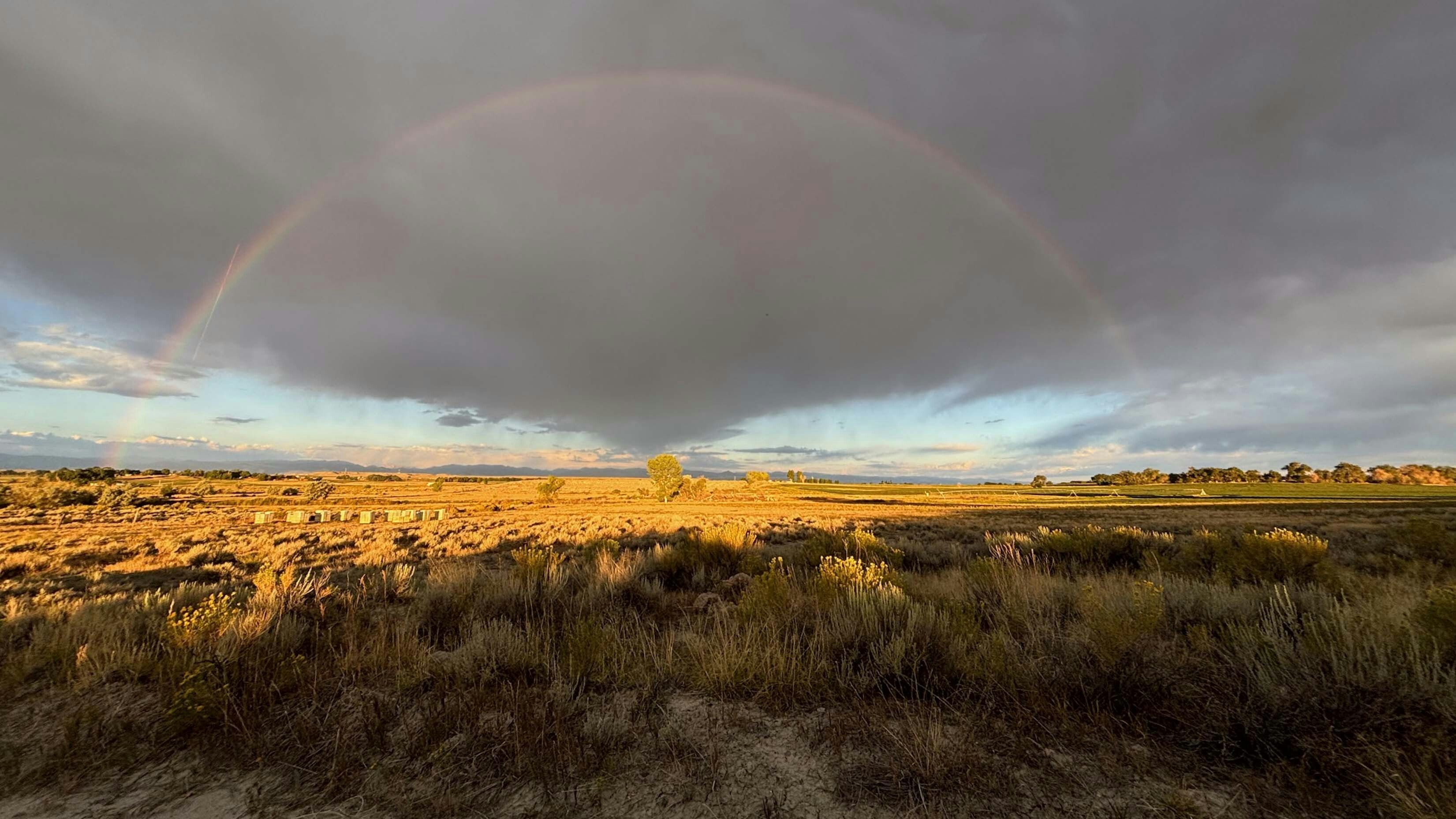I took this during sunrise this morning while on a walk outside of Pavillion Wyoming.