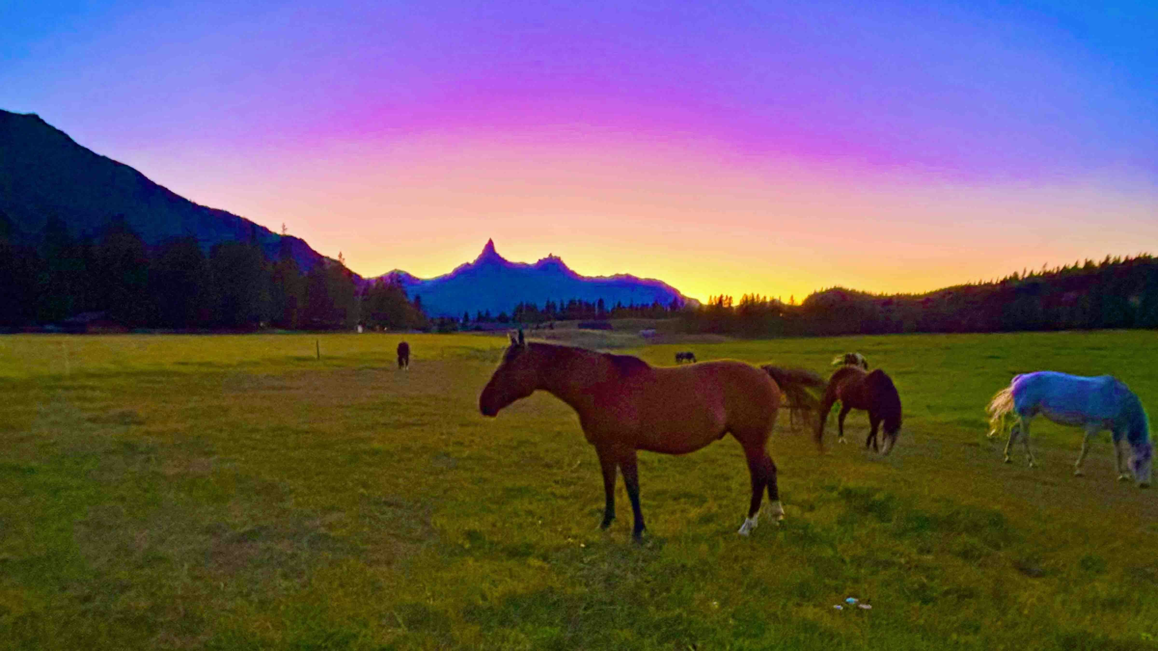 "Photo catches the prism of light at sunset on totally clear evening of August 1, 2024 — Been here 52 years and never seen anything like this."