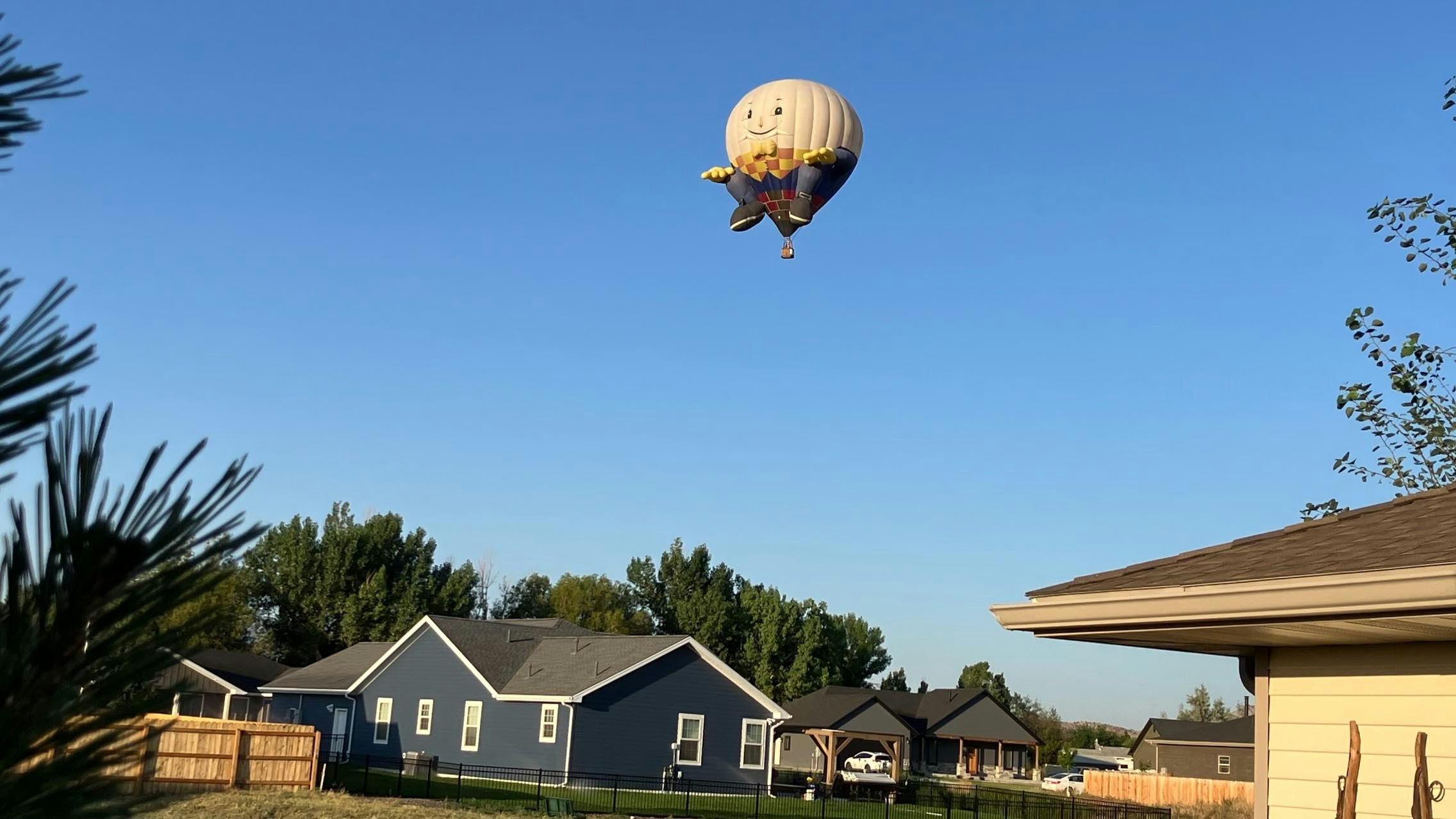 Humpty Dumpty greets the morning sunrise as he tracks across Trailhead Subdivision in Cody, Wy.