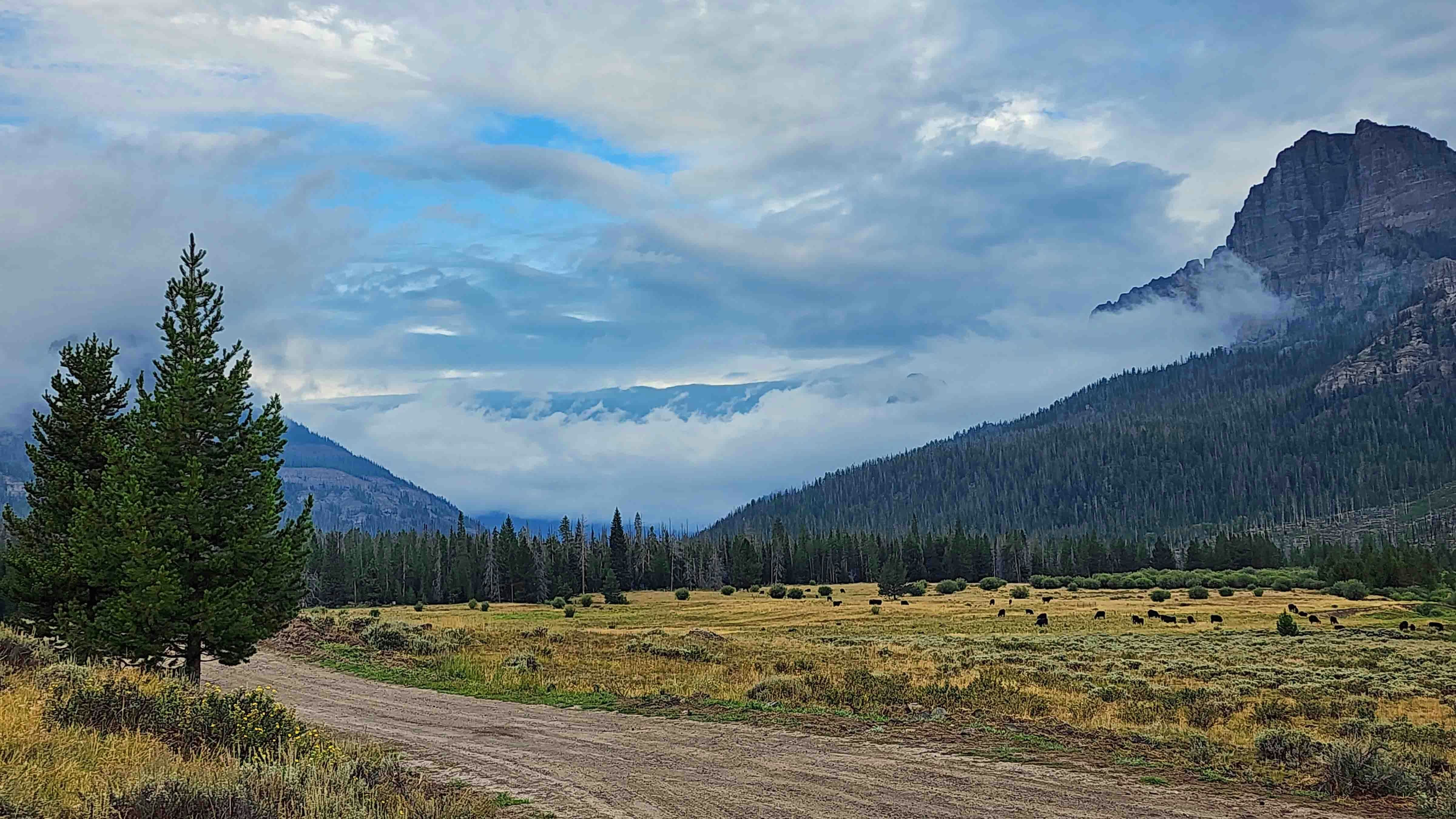 Low clouds at Double Cabin campground in northwest Wyoming on Aug 30, 2023