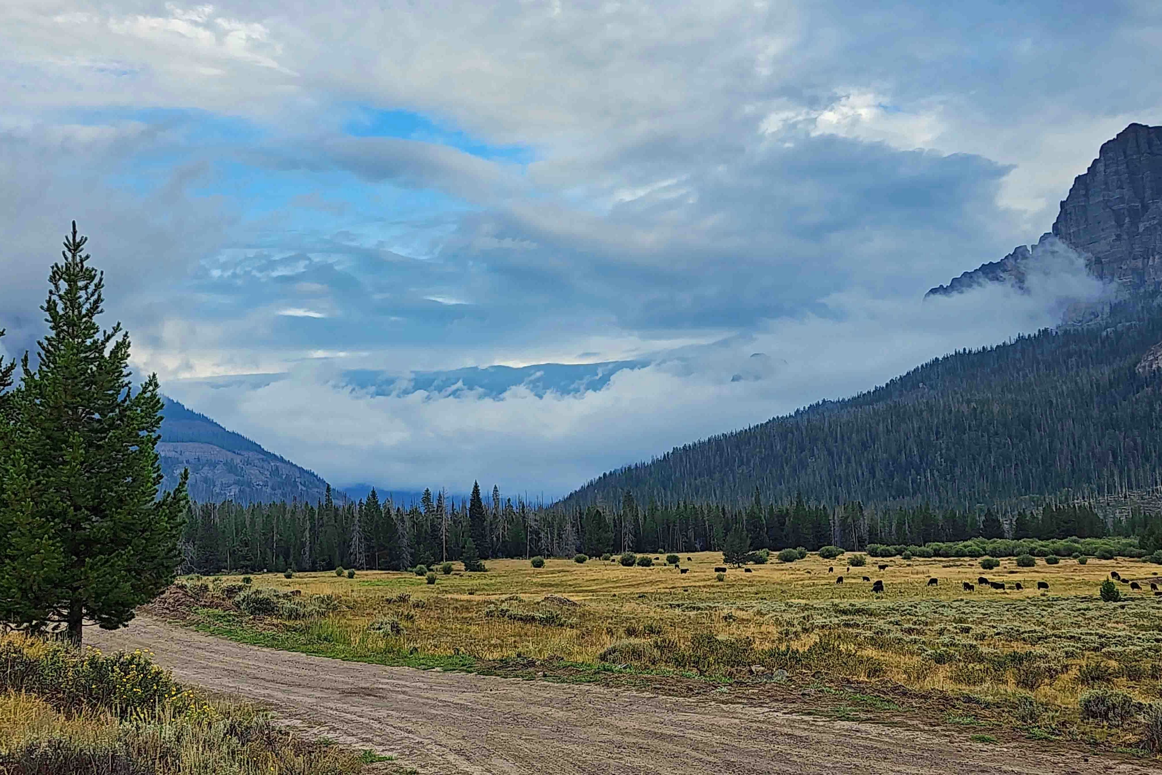 Low clouds at Double Cabin campground in northwest Wyoming on Aug 30, 2023