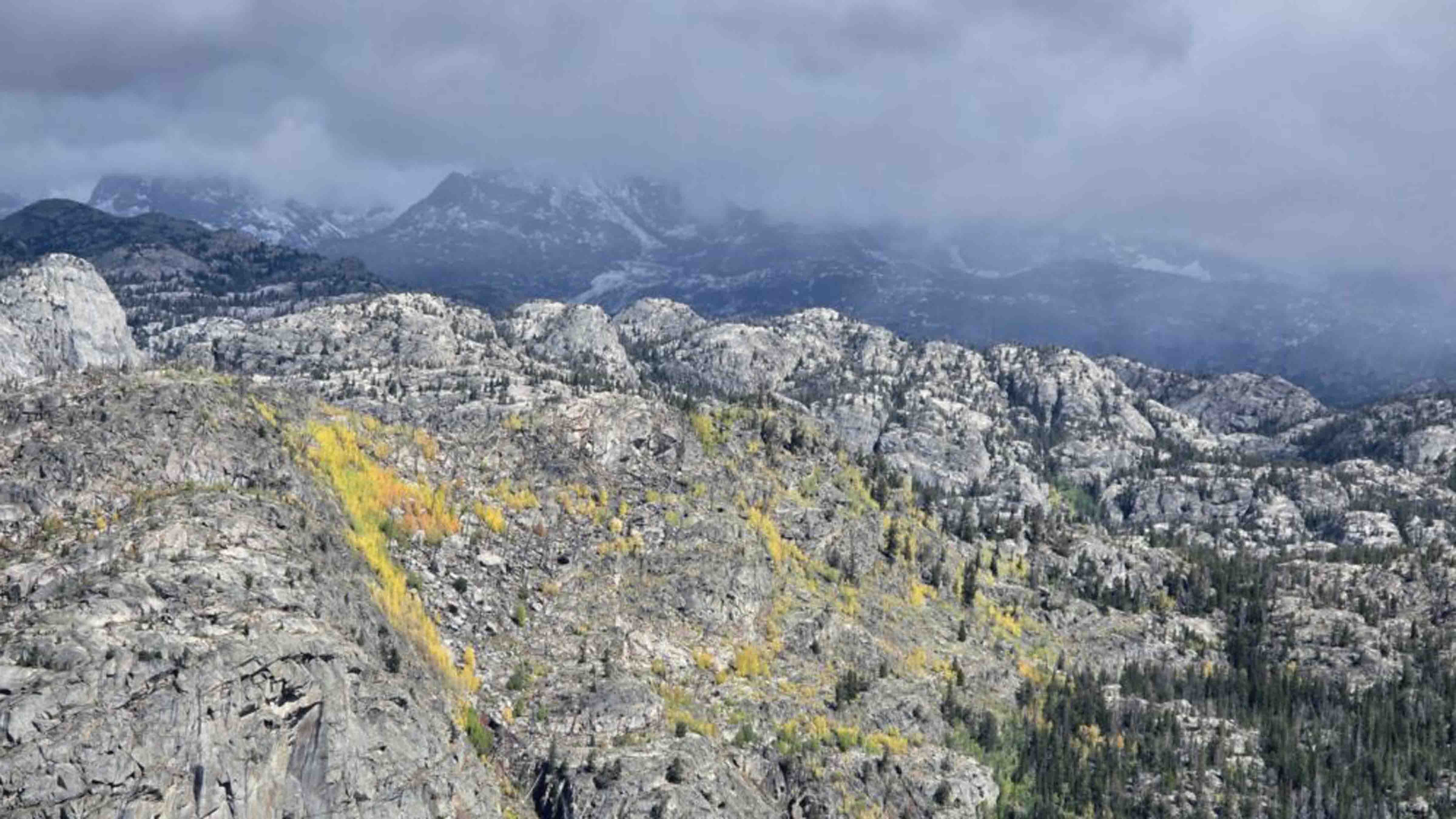 Fall colors near Sacred Rim Trail Point, Wind River Range outside of Pinedale