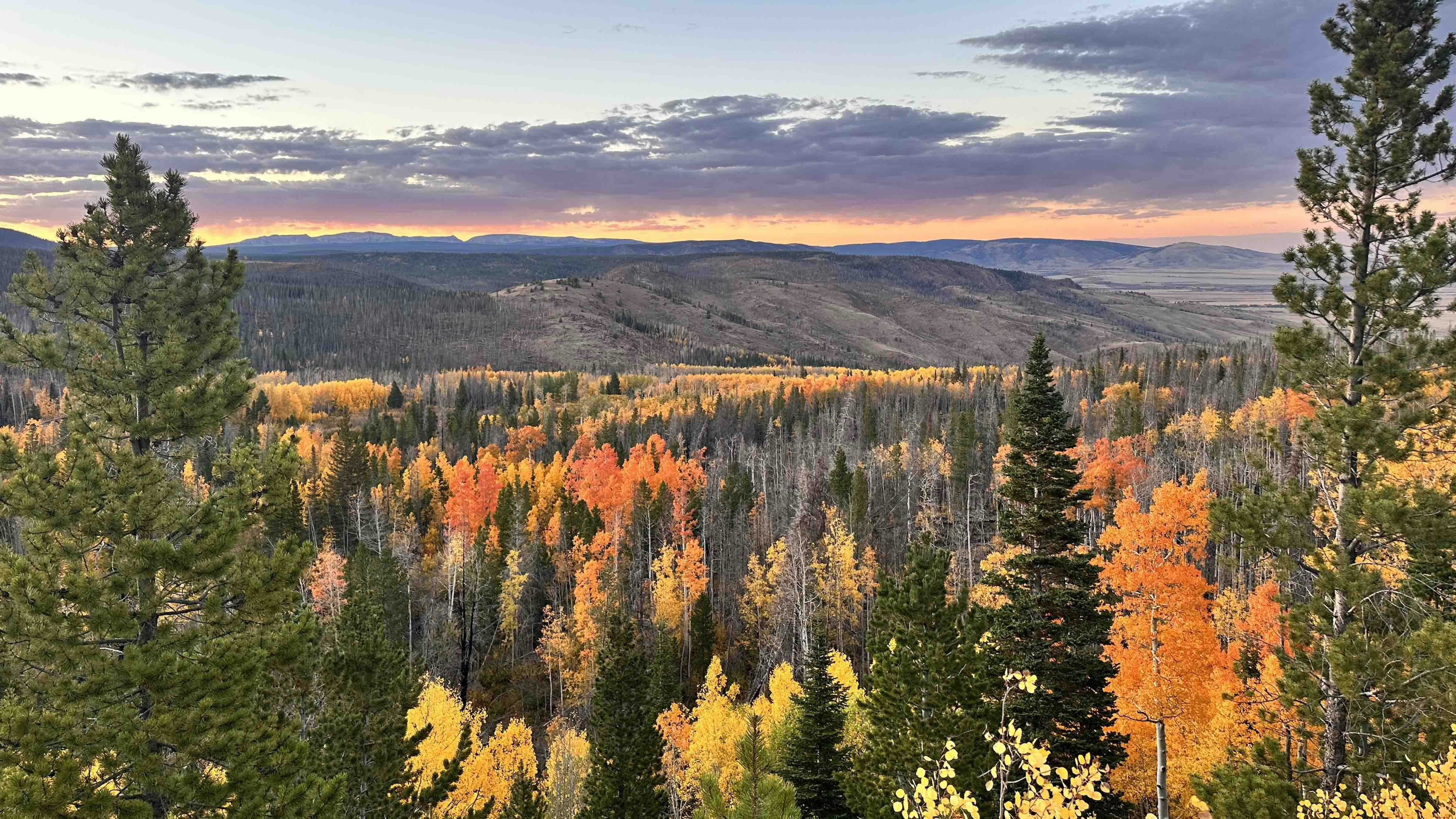 "Beautiful fall foliage sunset in the Medicine Bow National Forest on September 26, 2024."