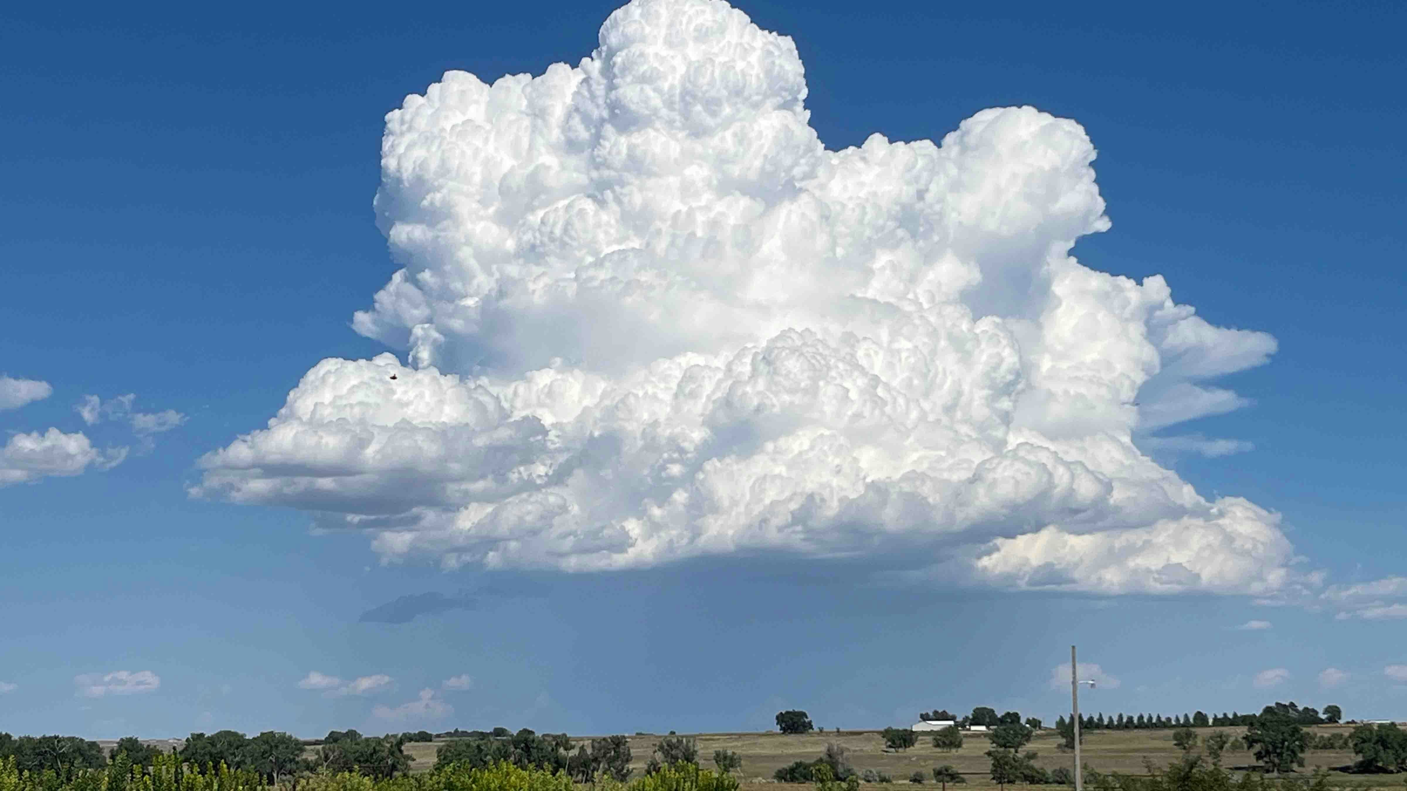 "An impressive cumulonimbus east of Scottsbluff this afternoon, August 20, 2024."