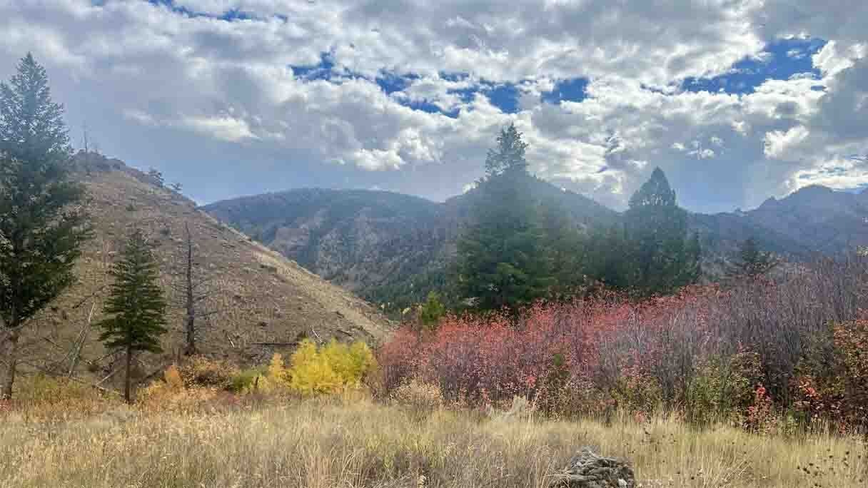 Fall colors with rain on the way. North Fork of the Shoshone River, WY.