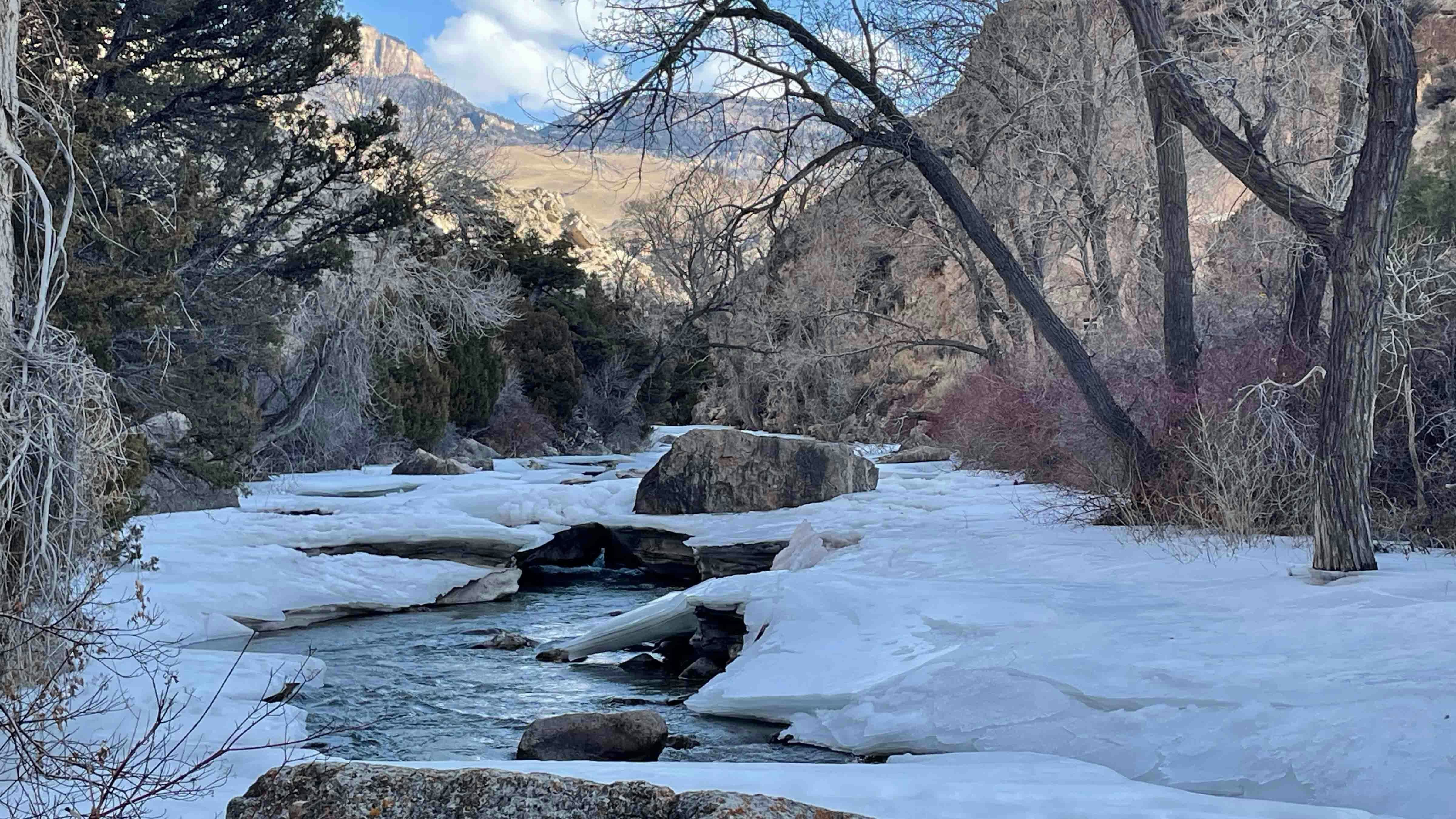 Shell Creek on Feb 3, 2024
