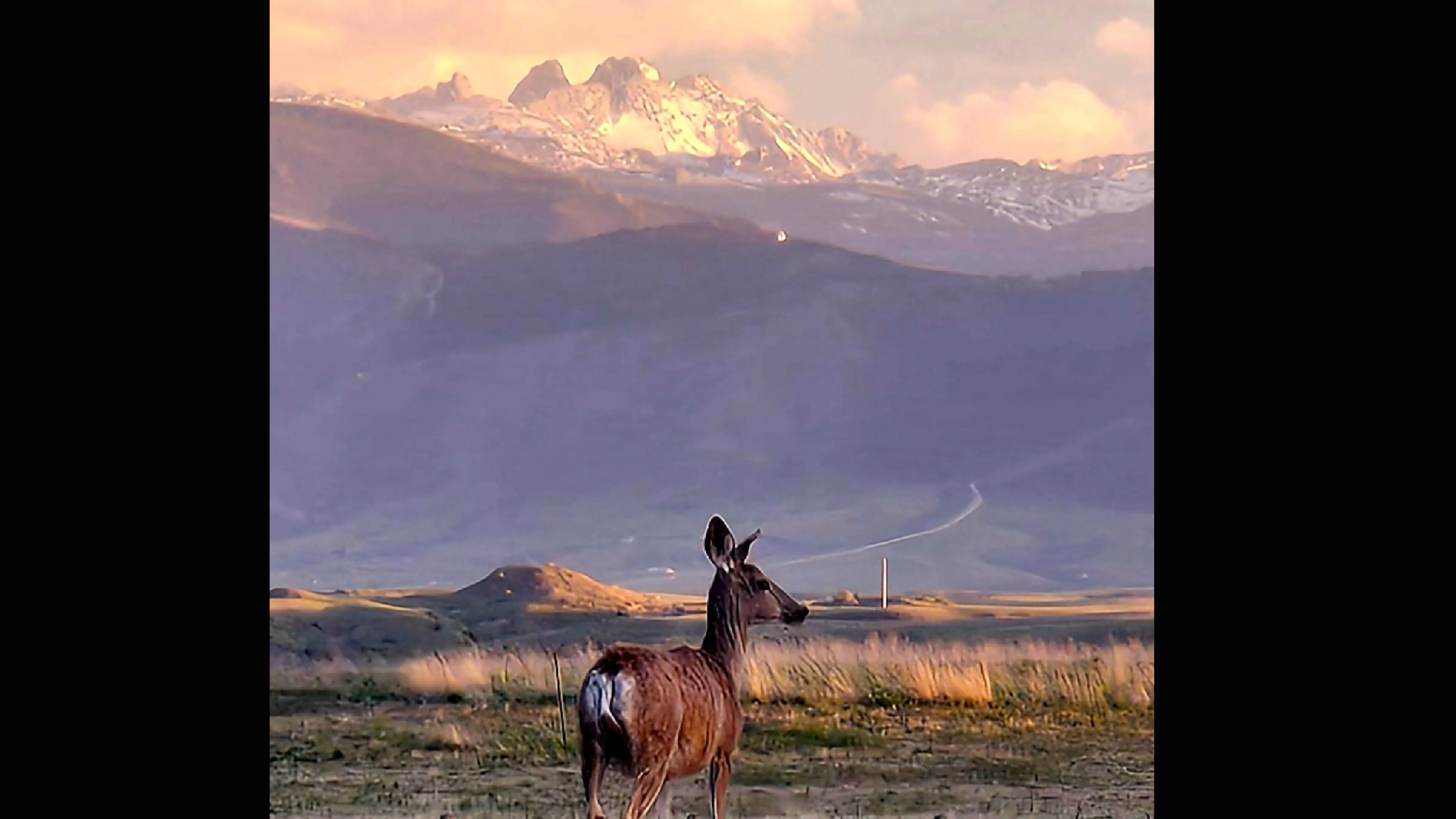 "Looking west toward the Bighorns, Red Grade Road going up toward Black Tooth Mountain."