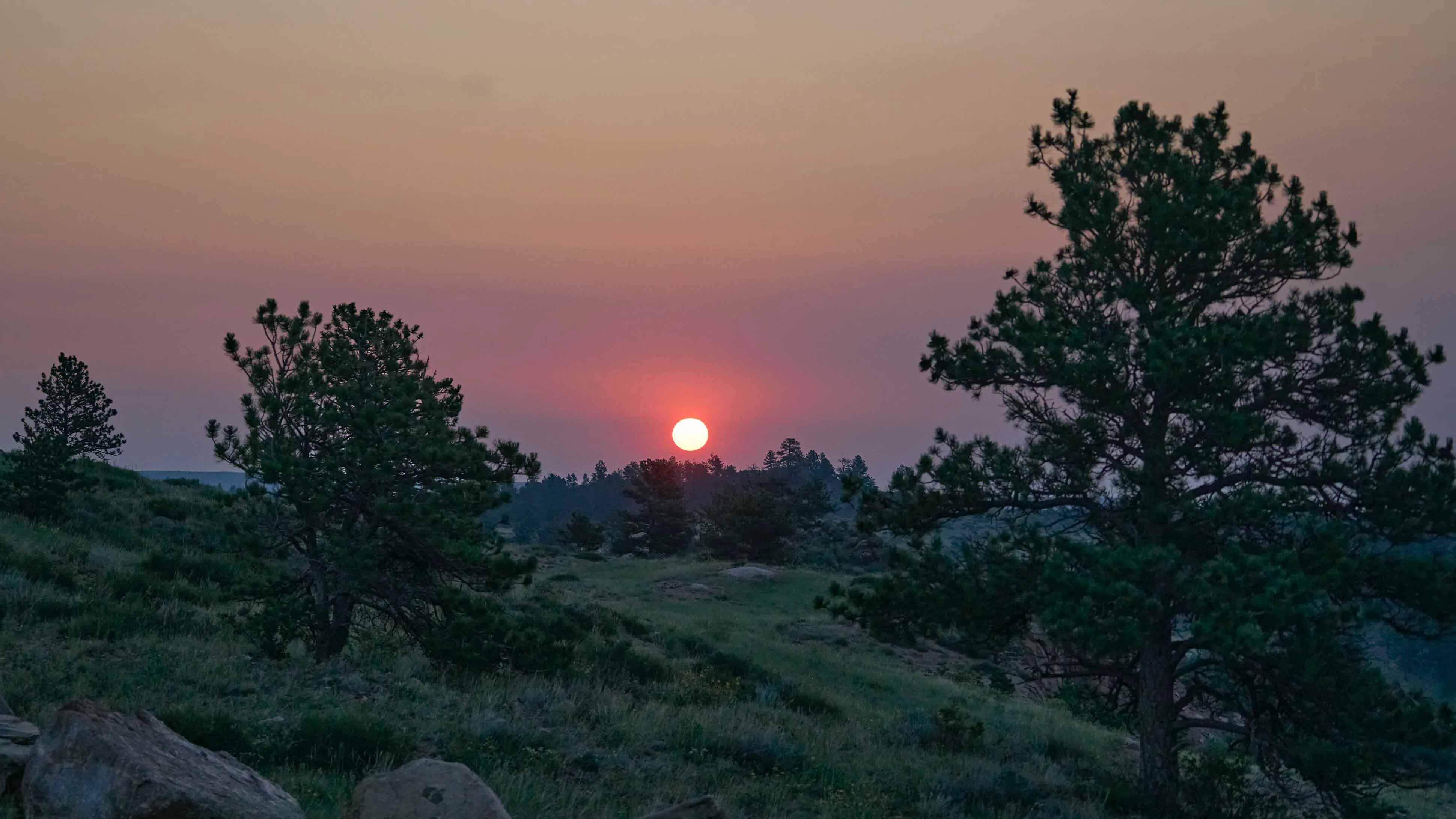 Solitude while watching the Sun rise - in the mountain range between Cheyenne and Laramie.