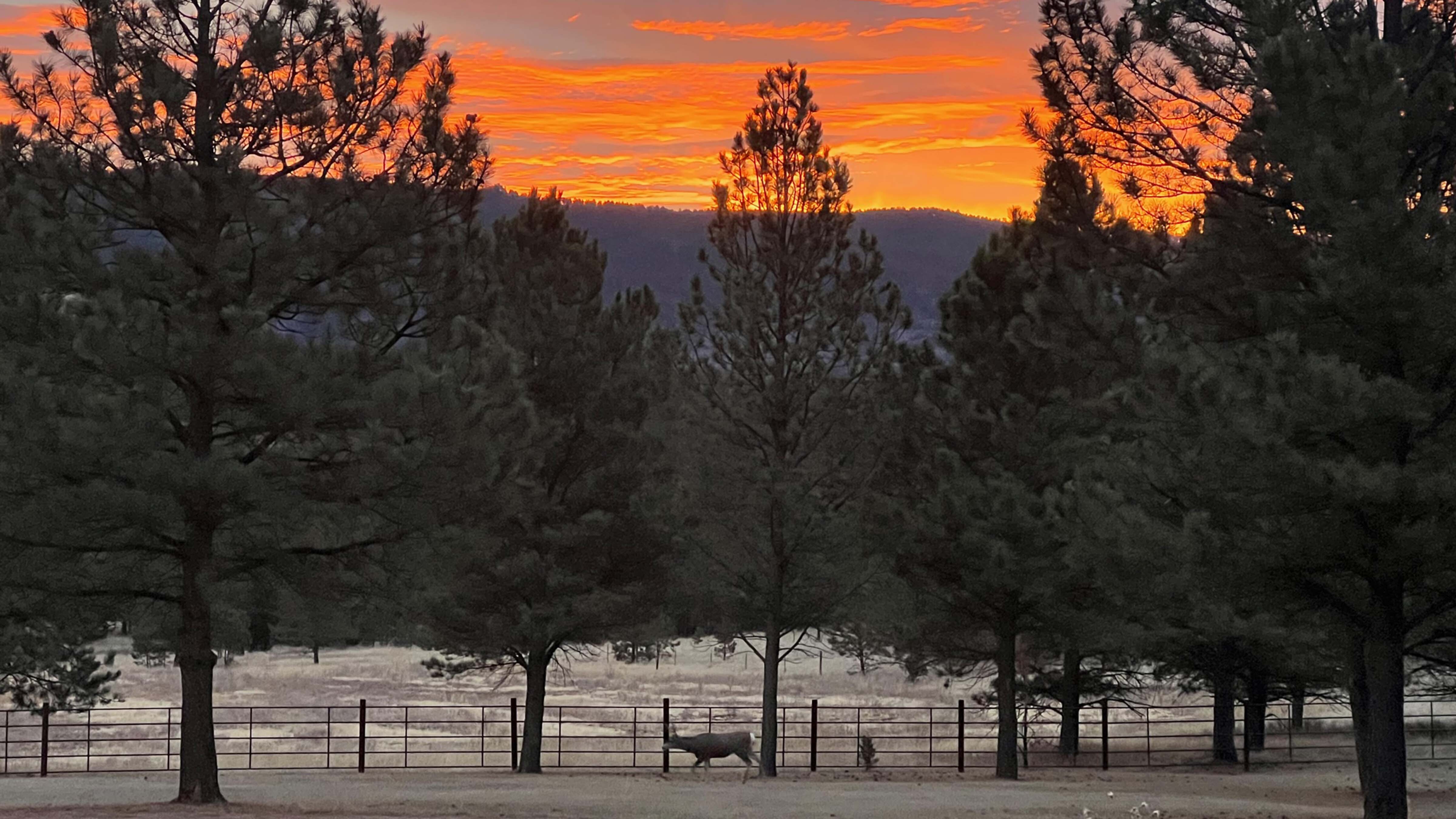 "Looking at the South Dakota border from Weston County."