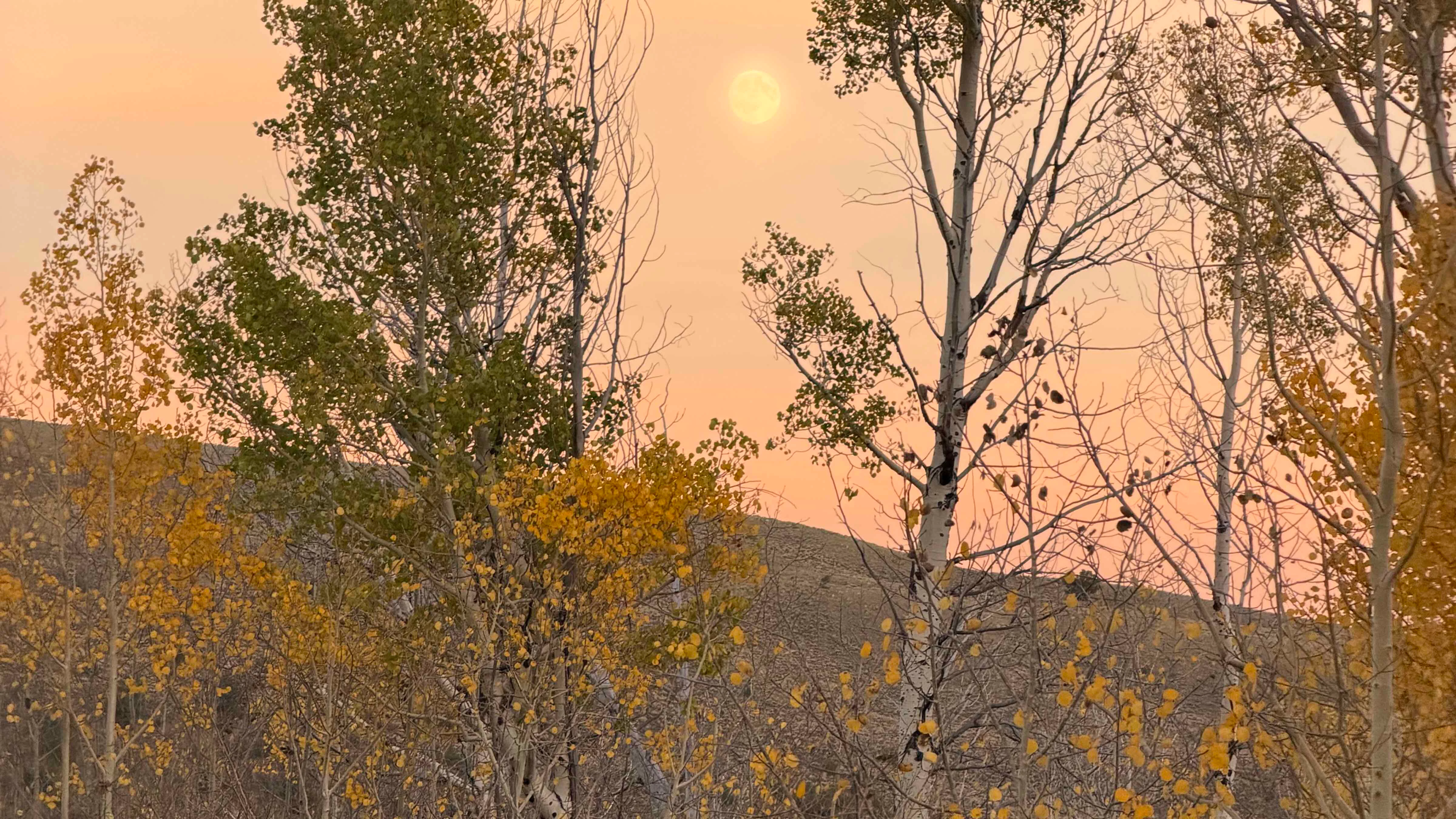 "Moonrise at sunset in Sublette County."