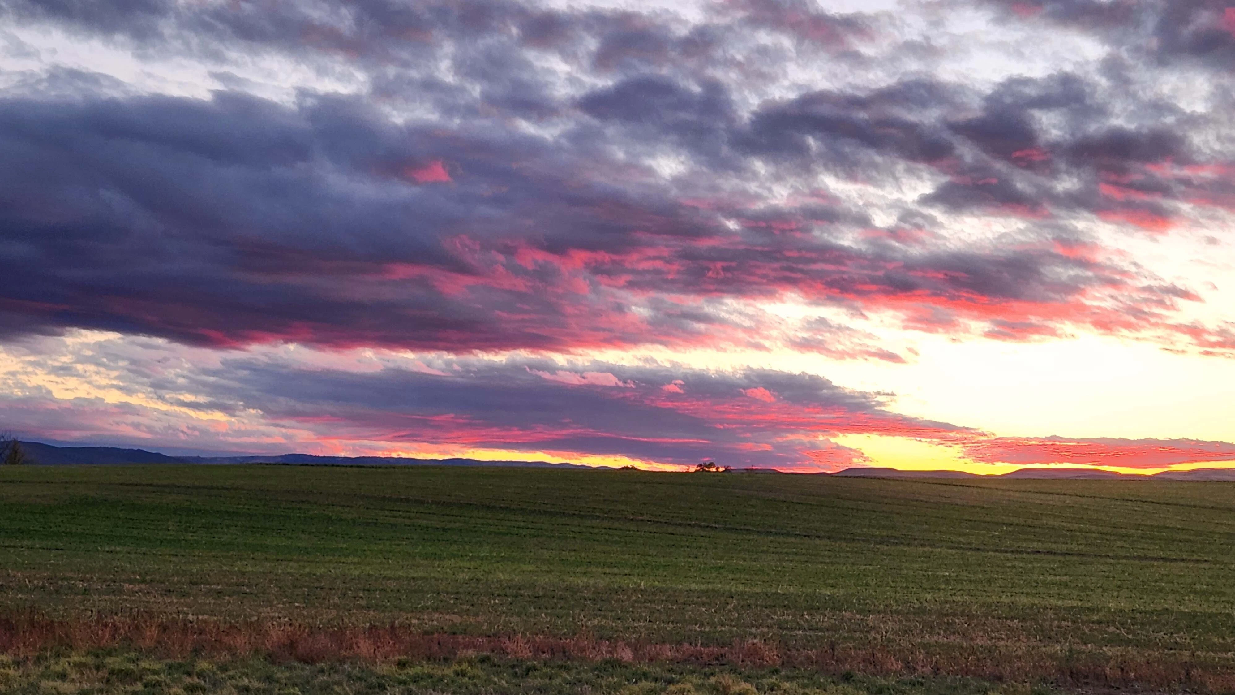 "Just east of Glenrock. Gorgeous night no AI or filters either."