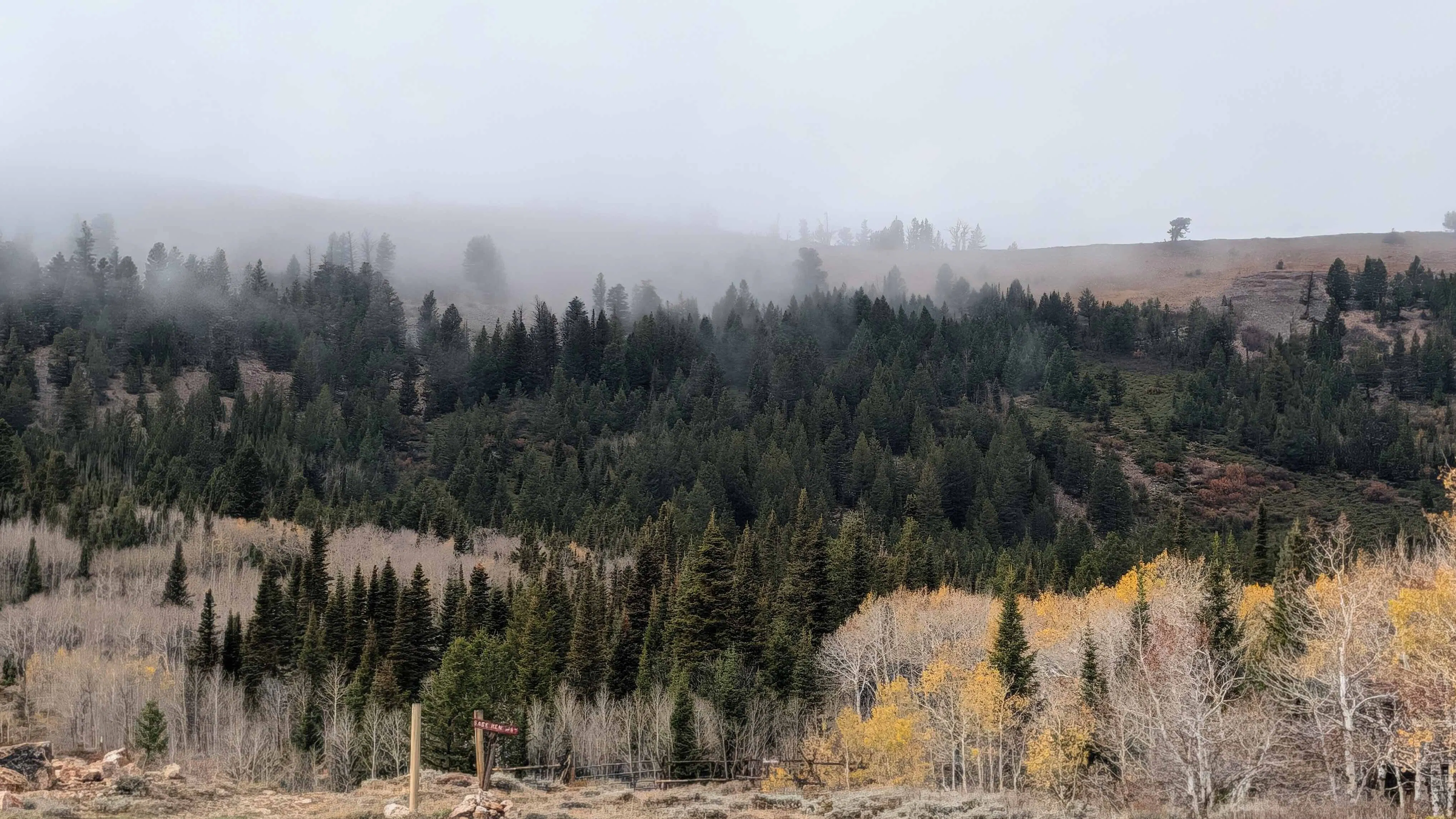"Low hanging clouds on the ridge."