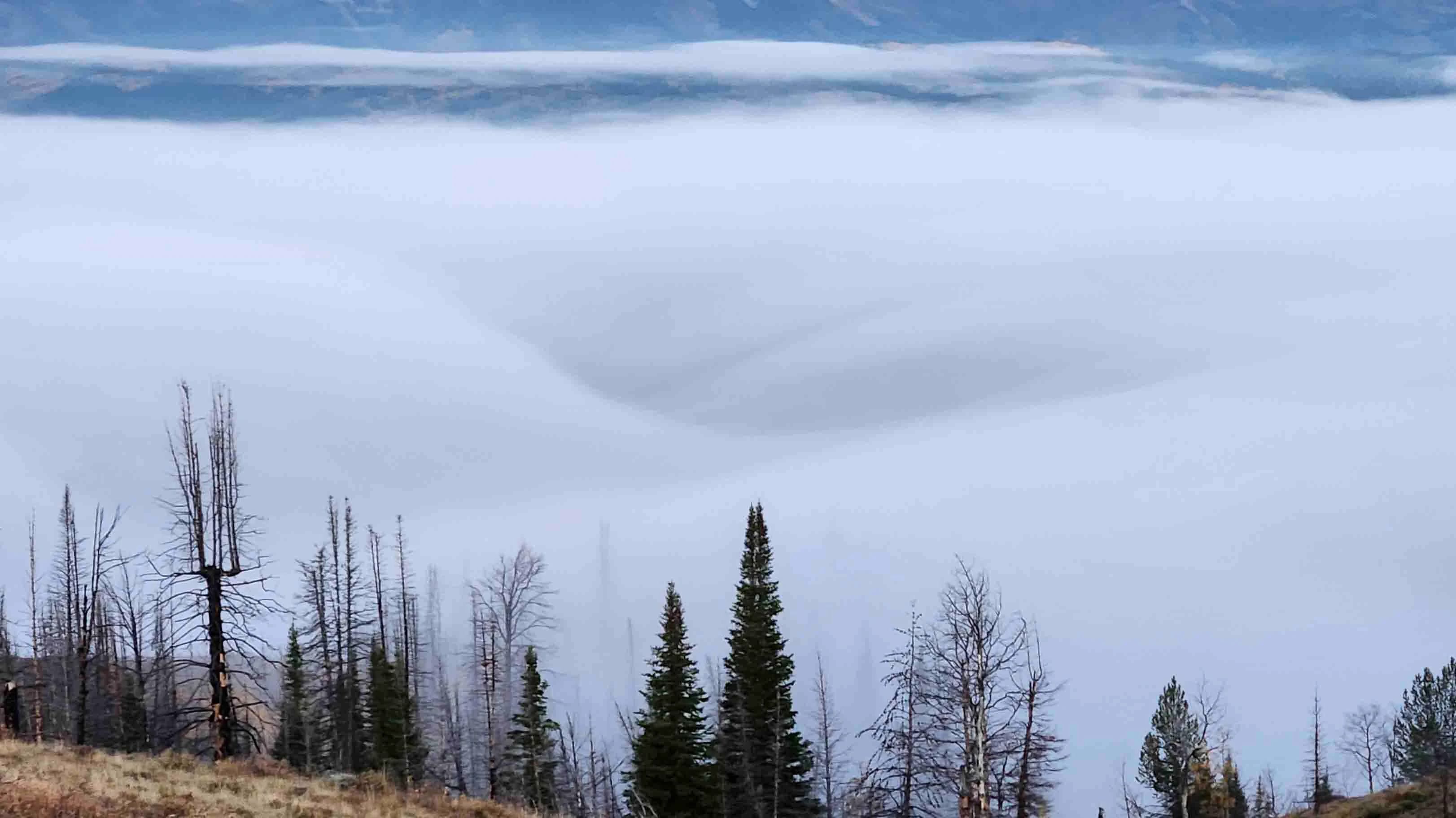 "Beautiful foggy morning in the Hoback valley."