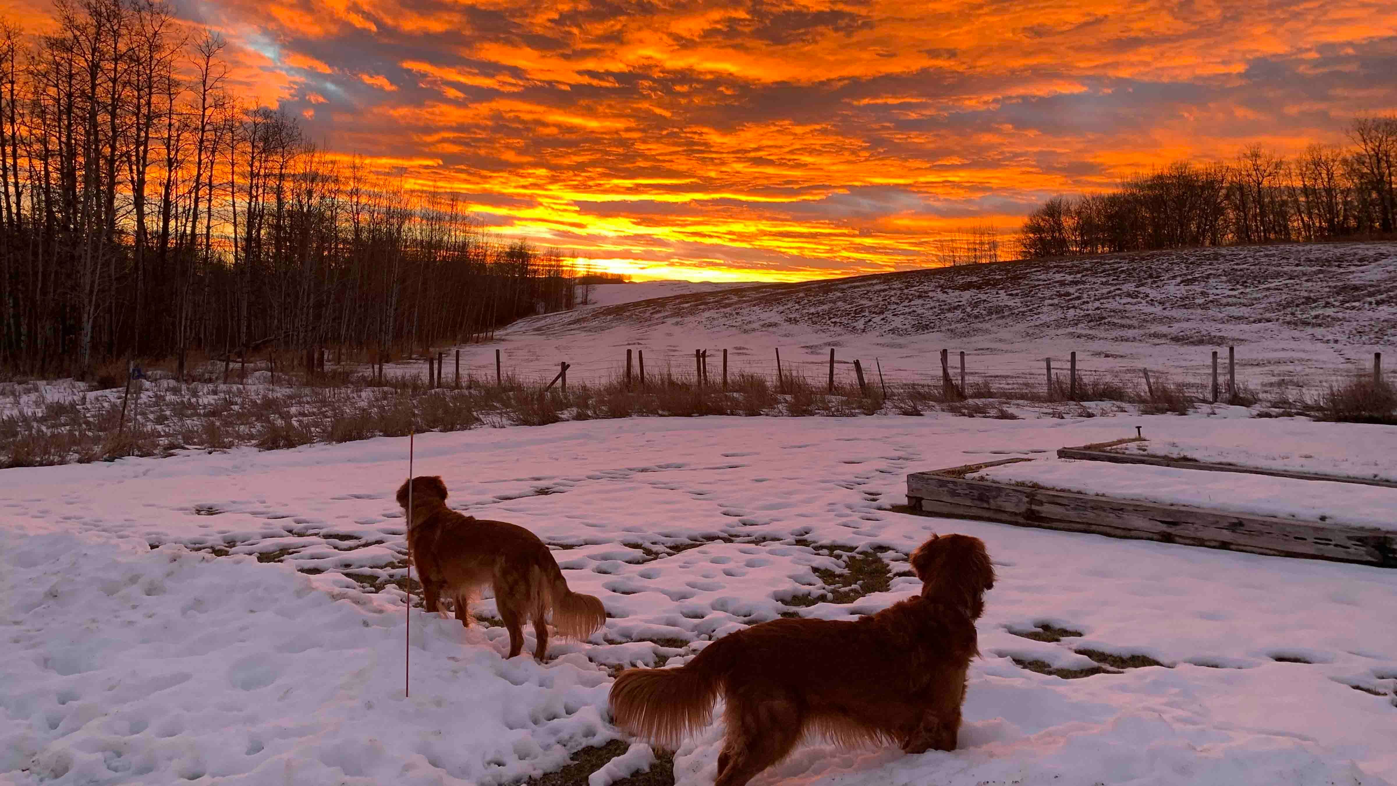 "Last night's sunset from Alta, Wyoming."
