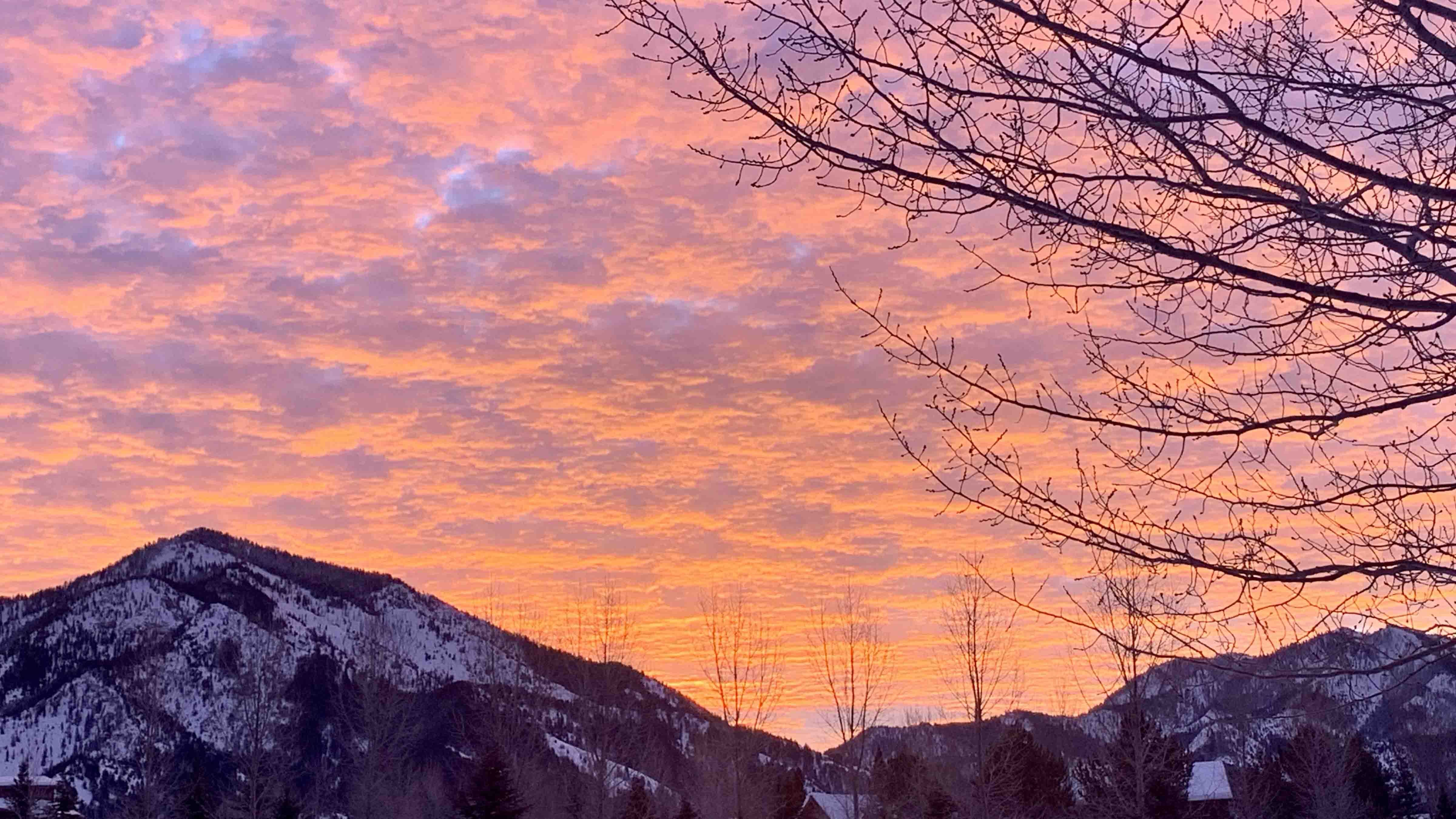 "Taken in Alpine while clearing snow from the driveway. Such a fiery sky, the lens couldn't capture all of God's handiwork."