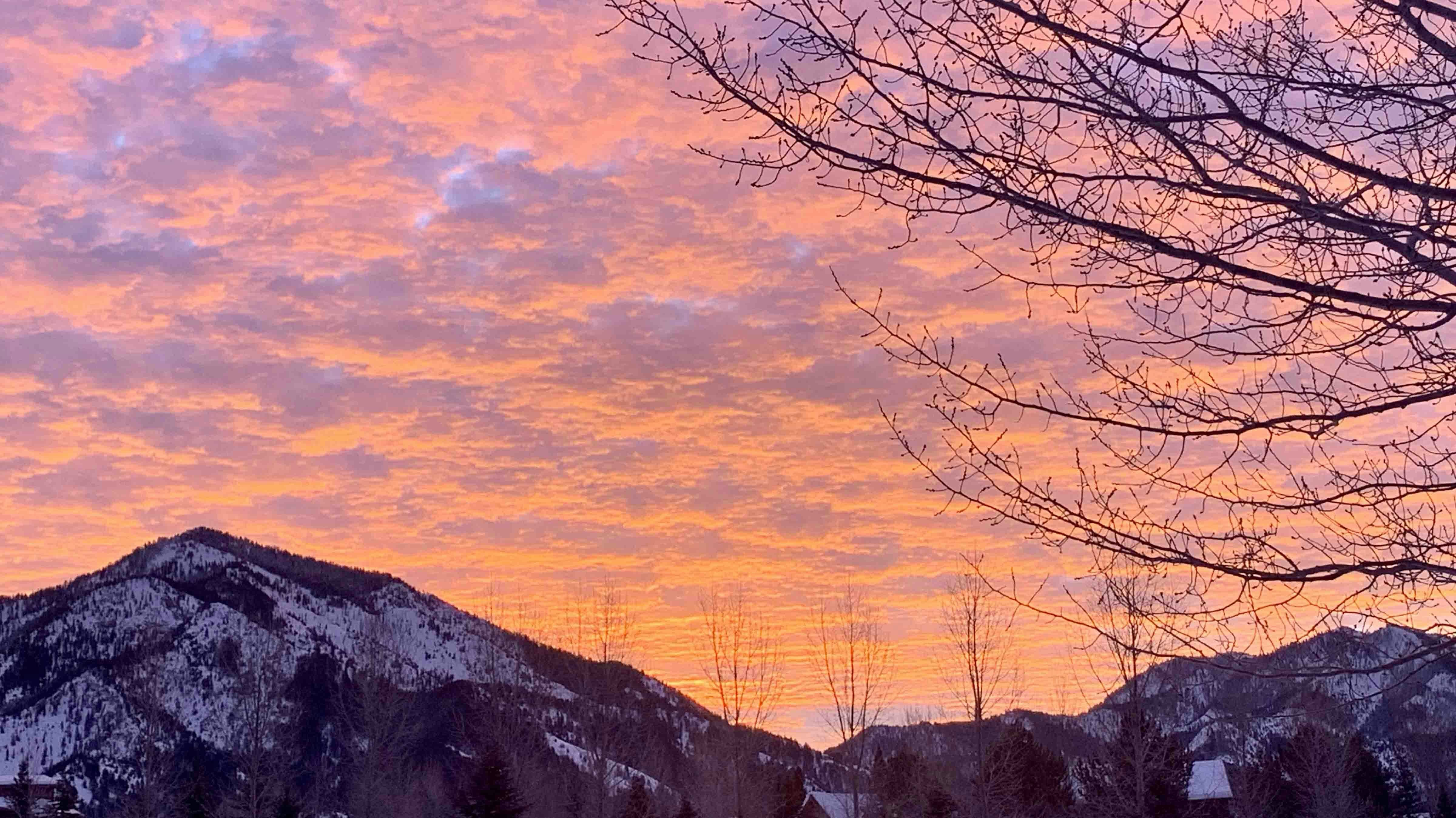 "Taken in Alpine while clearing snow from the driveway. Such a fiery sky, the lens couldn't capture all of God's handiwork."