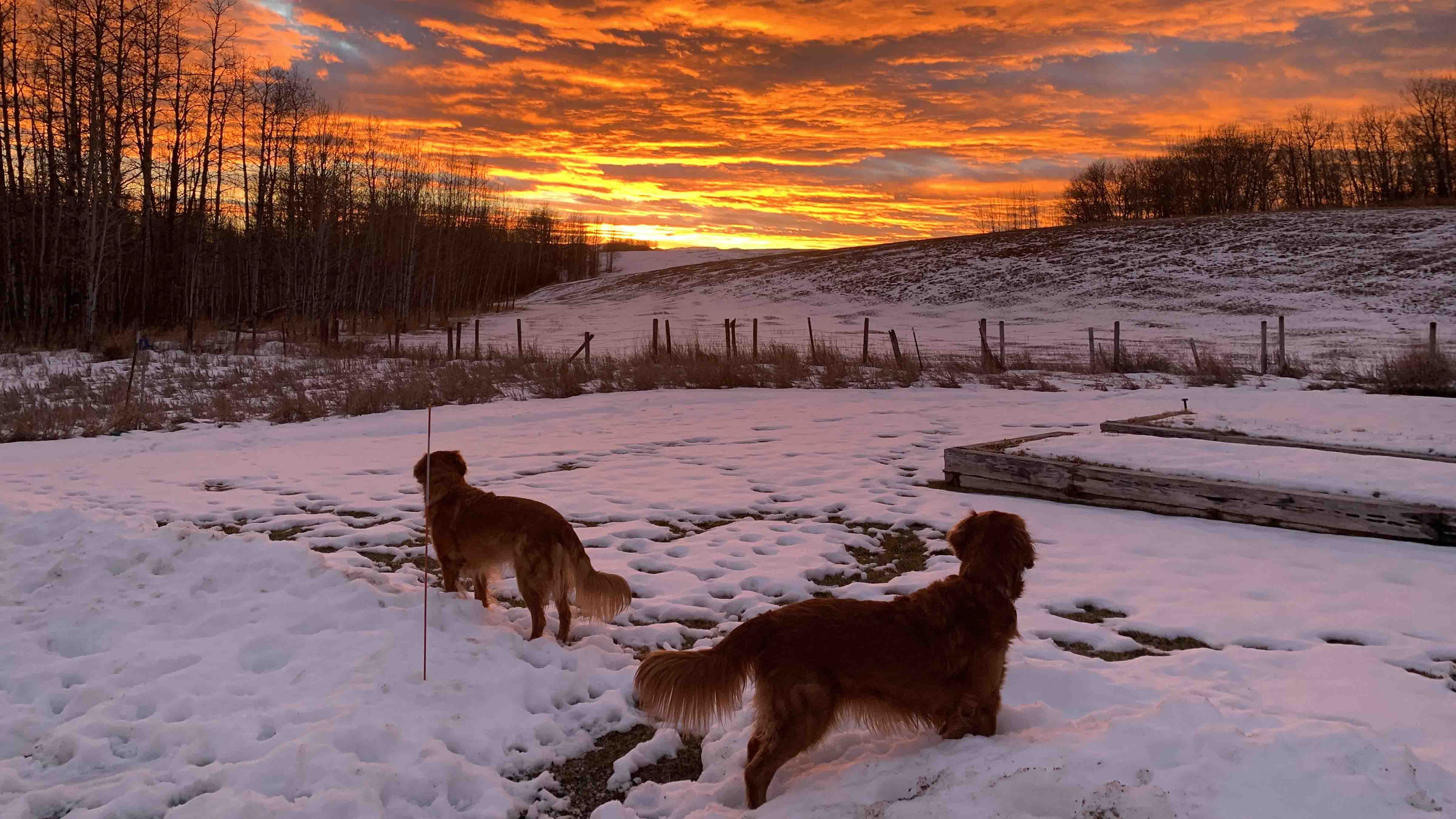 "Sunset from Alta, Wyoming."