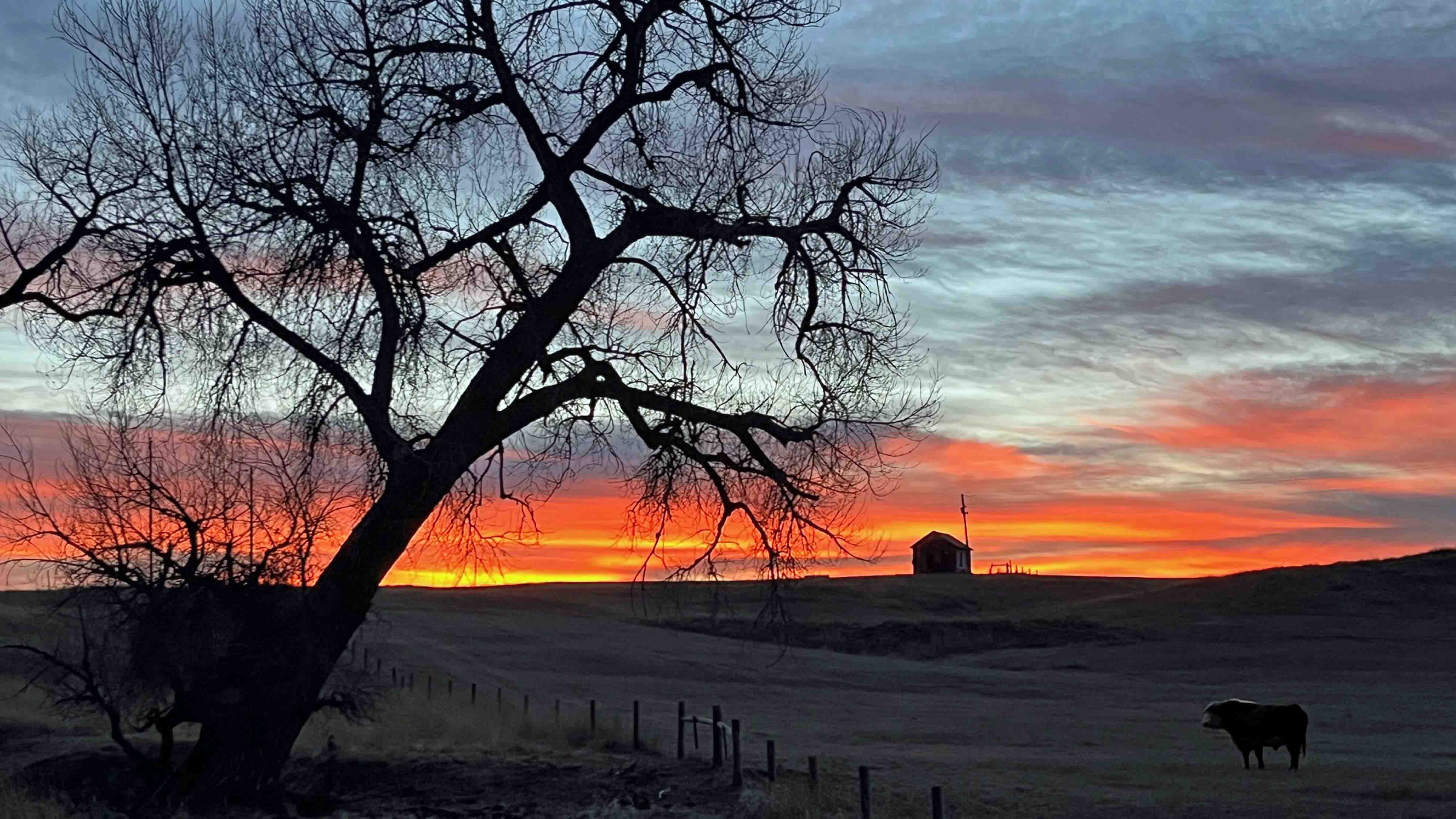 "Sunset north of Hulett, Wyoming, on the Moore Ranch."